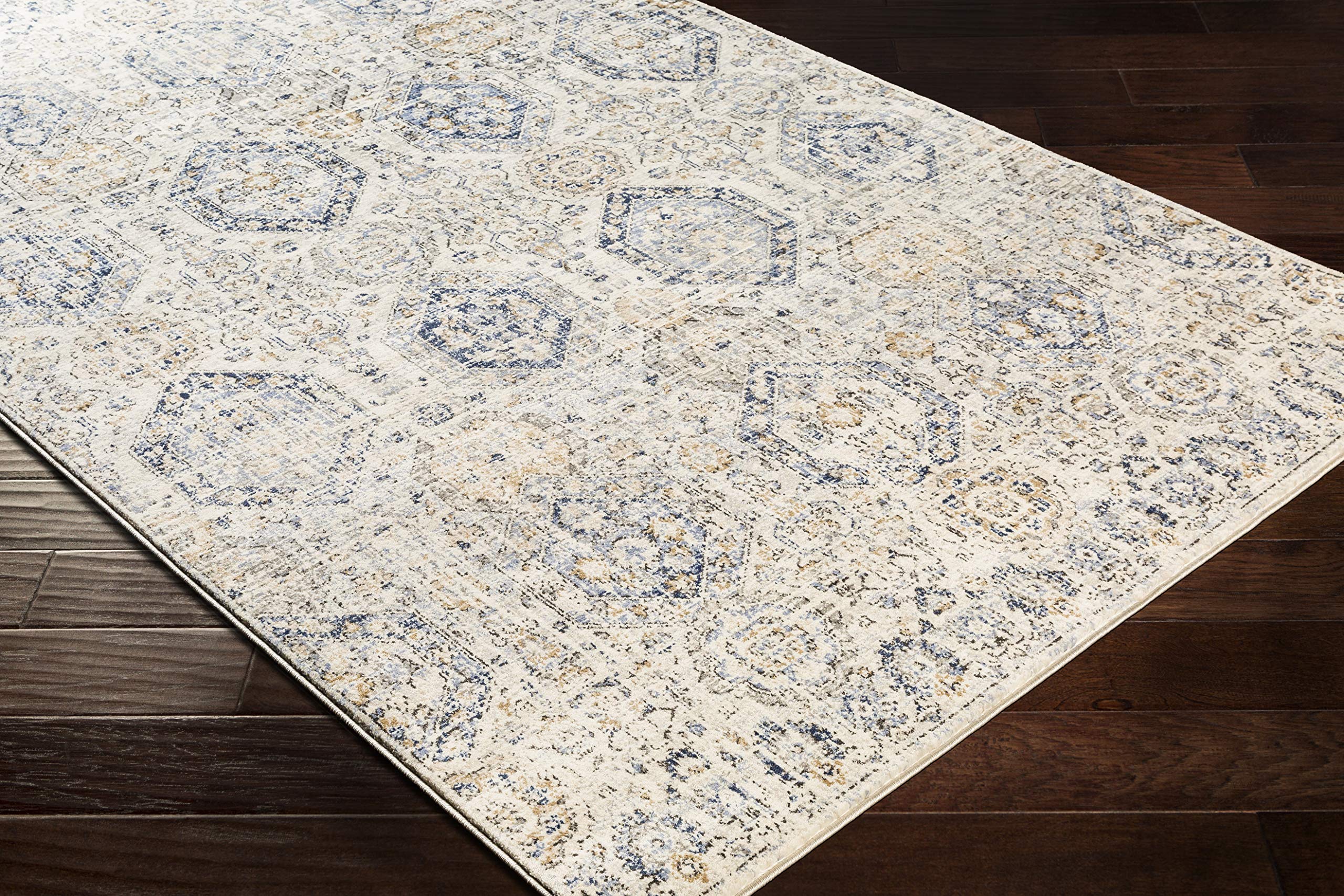 Livabliss Aune Soft Plush Area Rug 4'3