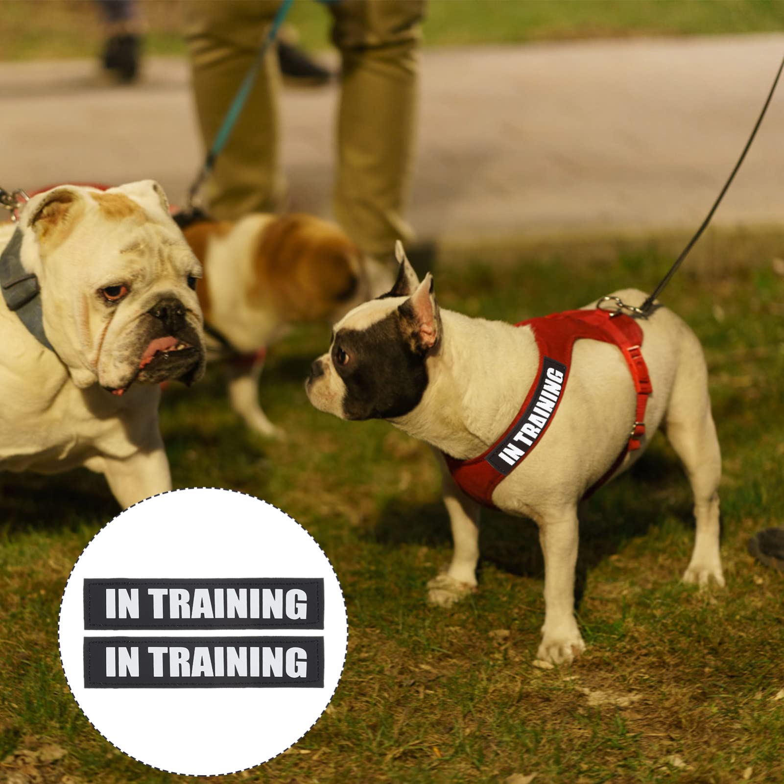 Balacoo 2 Packs Reflective Dog Harness Vest with Removable Service Dog Patches - High Visibility Pet Safety Gear for Night Walking, Running & Outdoor Adventures