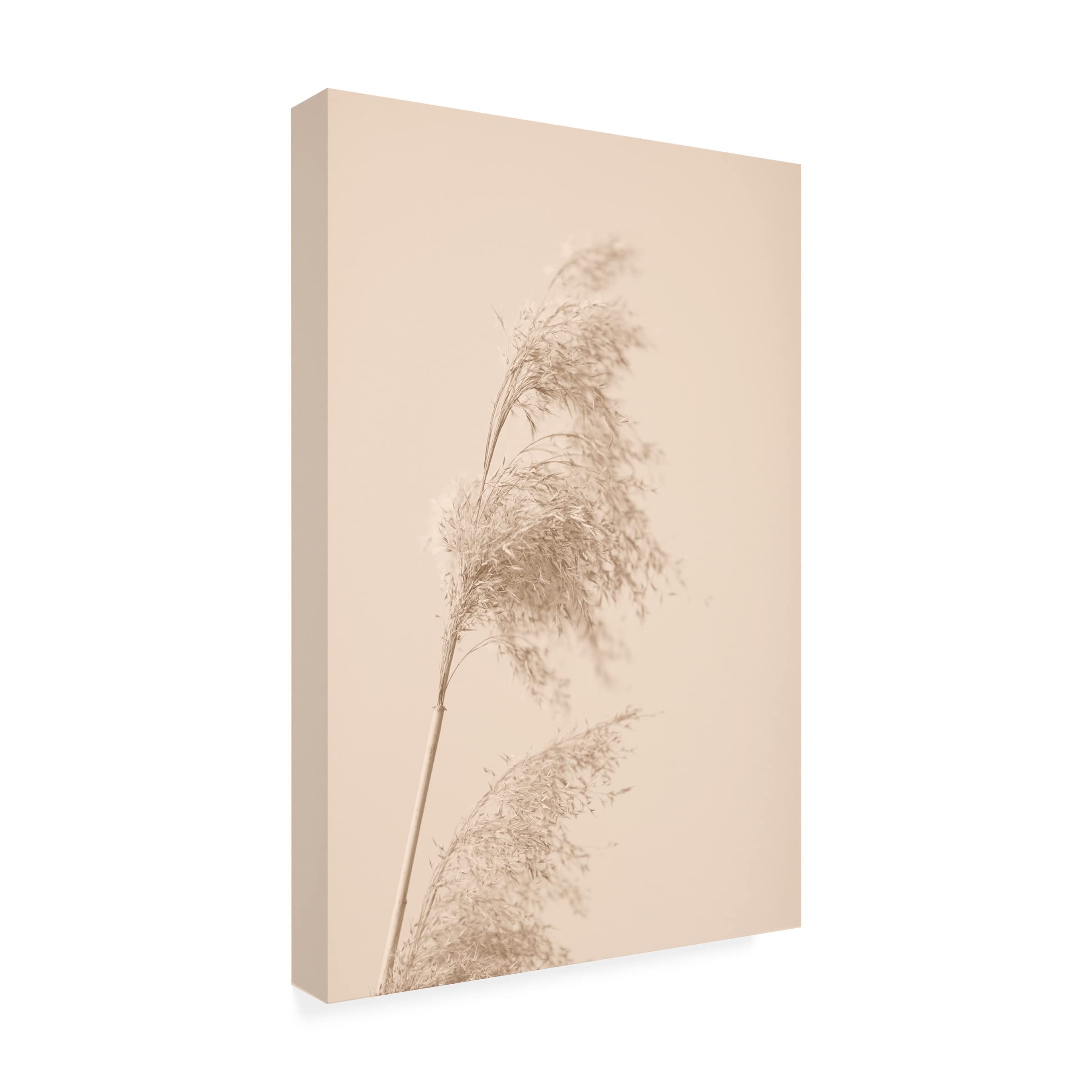 Trademark Fine Art 'Reed Grass Beige 03' Canvas Wall Art Print by 1x Studio III - Modern Home Decor for Living Room, Bedroom & Office