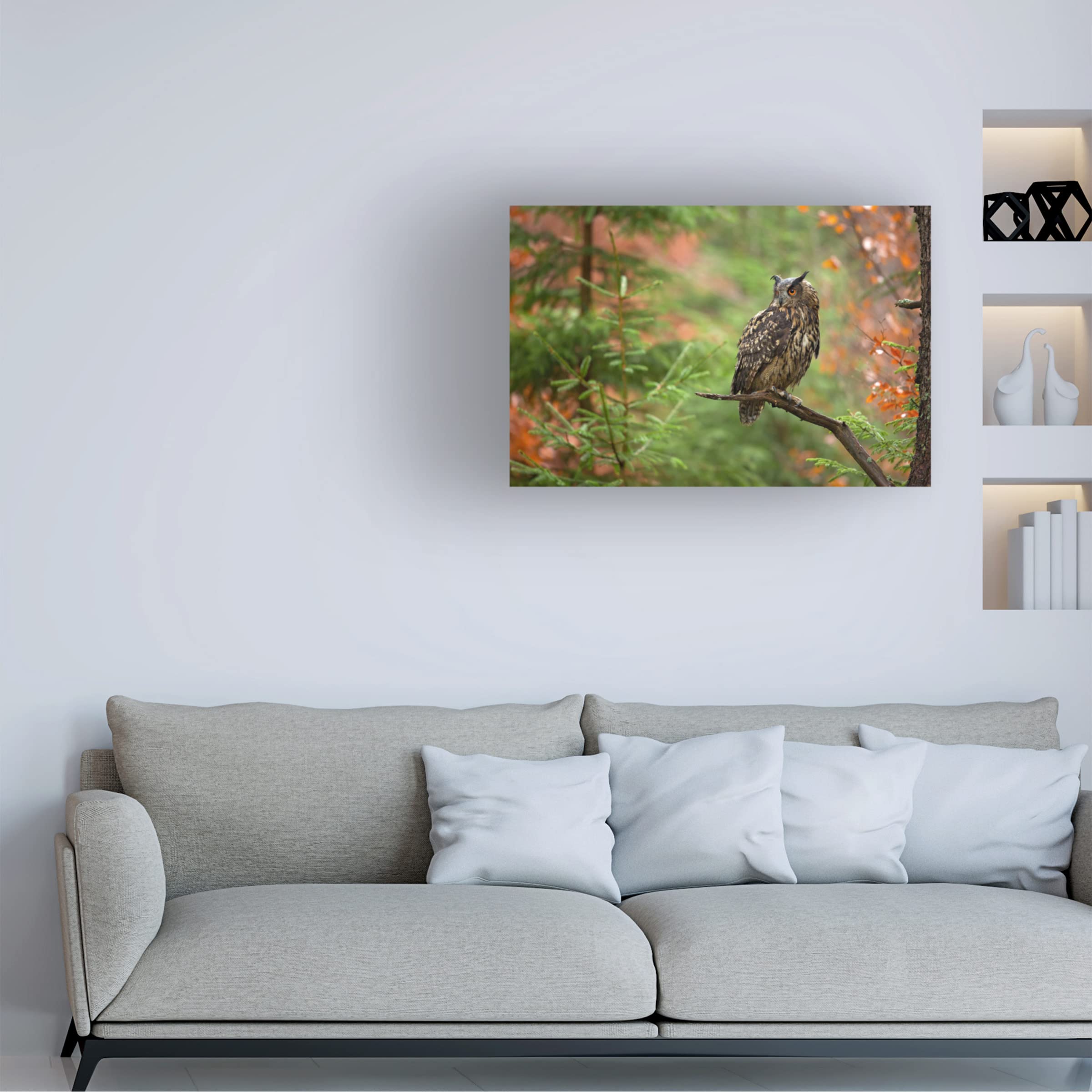 Trademark Fine Art 'Eurasian Eagle Owl' Canvas Wall Art by Milan Zygmunt - Premium Wildlife Home Decor for Living Room, Bedroom & Office