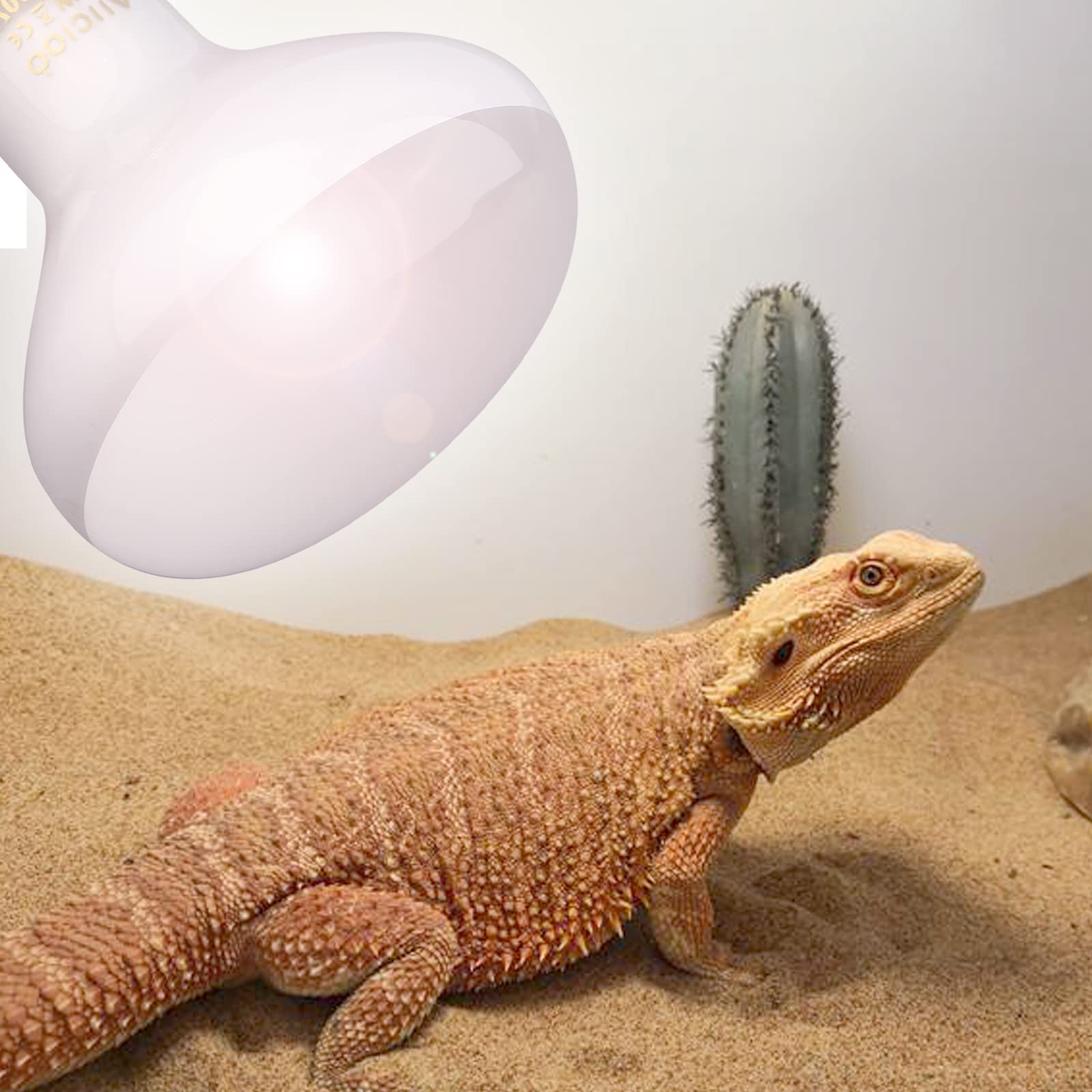 Aiicioo 150W Reptile Basking Heat Lamp Bulb - 4 Pack Daylight Bulbs for Bearded Dragons, Lizards, Turtles & Tortoises - Ideal for Terrariums, Vivariums & Reptile Habitats