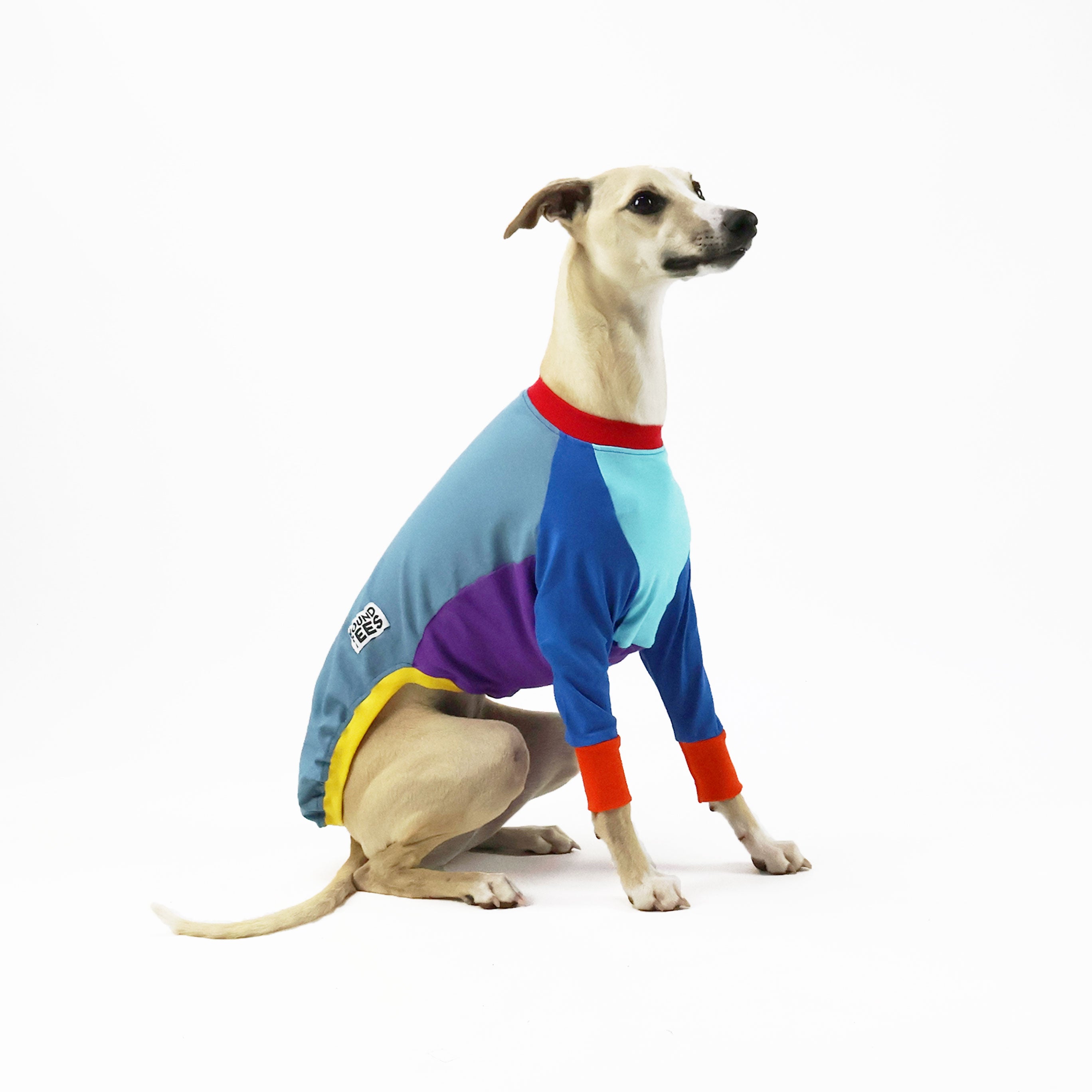 Frankie Jester Whippet Dog Long Sleeve T-Shirt for Men & Women - Comfortable Cotton Pet Lover Apparel for Casual Wear, Dog Walking & Outdoor Activities