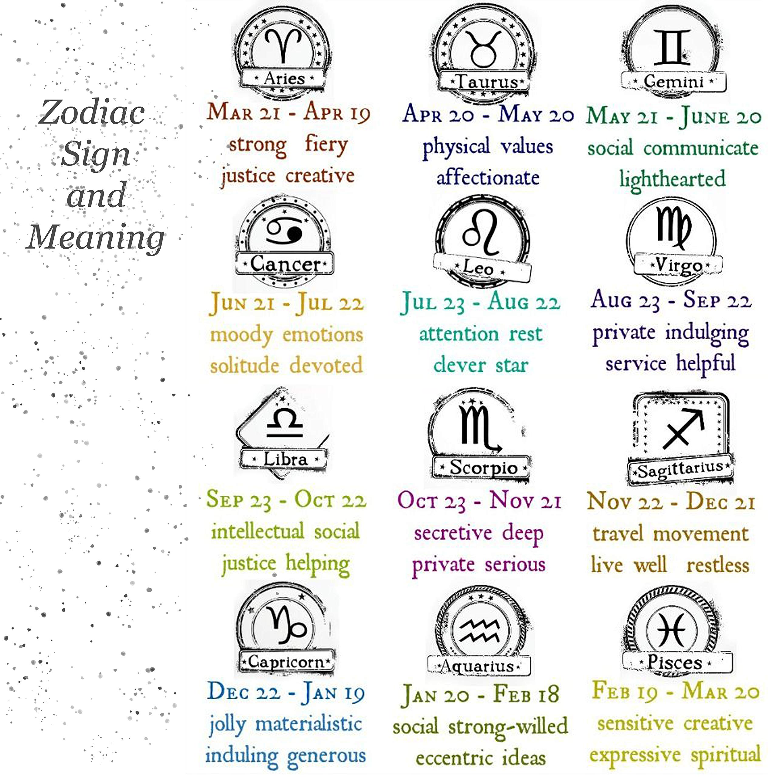 Spinning Daisy Zodiac Sign Dangling Disc Earrings - Unique Astrology Jewelry for Women - Perfect for Daily Wear, Parties & Gifts