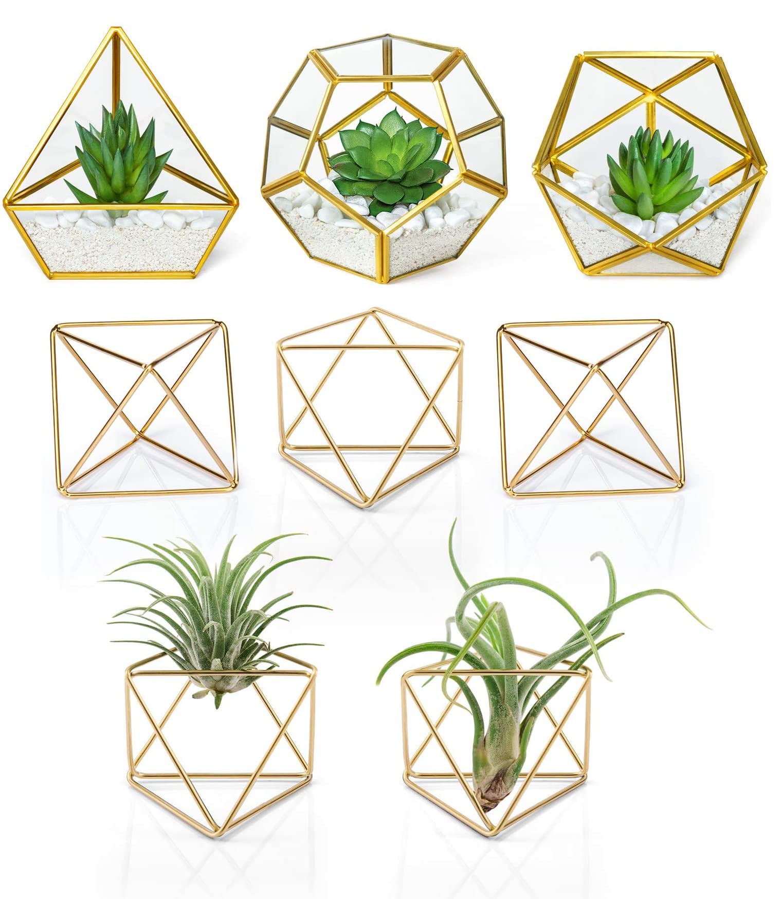 Stylish Geometric Terrarium with Artificial Succulent & 5 Mini Air Plant Holders - Modern Office Desk Decor for Women, Bookshelf Decor, Home & Workspace Decoration