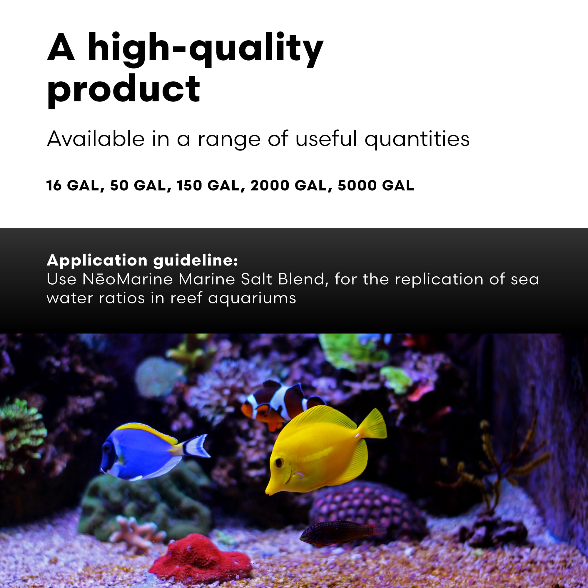 Brightwell Aquatics NeoMarine Marine Salt Blend for Reef Aquarium - Premium Fish Tank Starter Salt for Saltwater Aquariums - 150-Gallon Water Treatment for Coral Growth & Healthy Marine Life - Perfect for Reef Tanks, Fish-Only Tanks & Aquatic Habitats