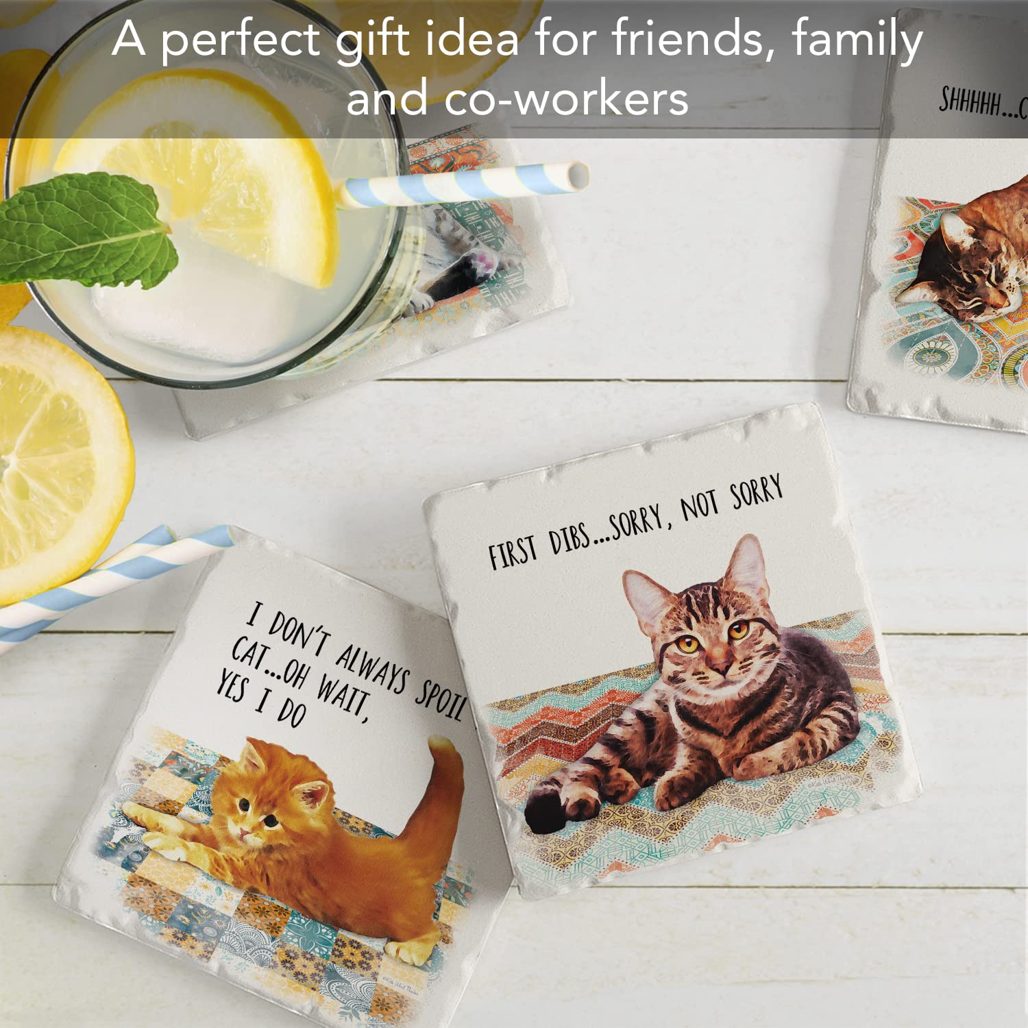 Thirstystone Cat Nappy 4-Pack Absorbent Tumbled Tile Stone Coasters - Made in USA, Easy to Clean - Perfect for Coffee Tables, Home Decor & Pet Lover Gifts