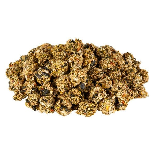 Kaytee Granola Bites with Superfoods Spinach & Kale - Healthy Small Animal Treats for Hamsters, Guinea Pigs & Rabbits - Perfect for Training Rewards & Daily Snacking
