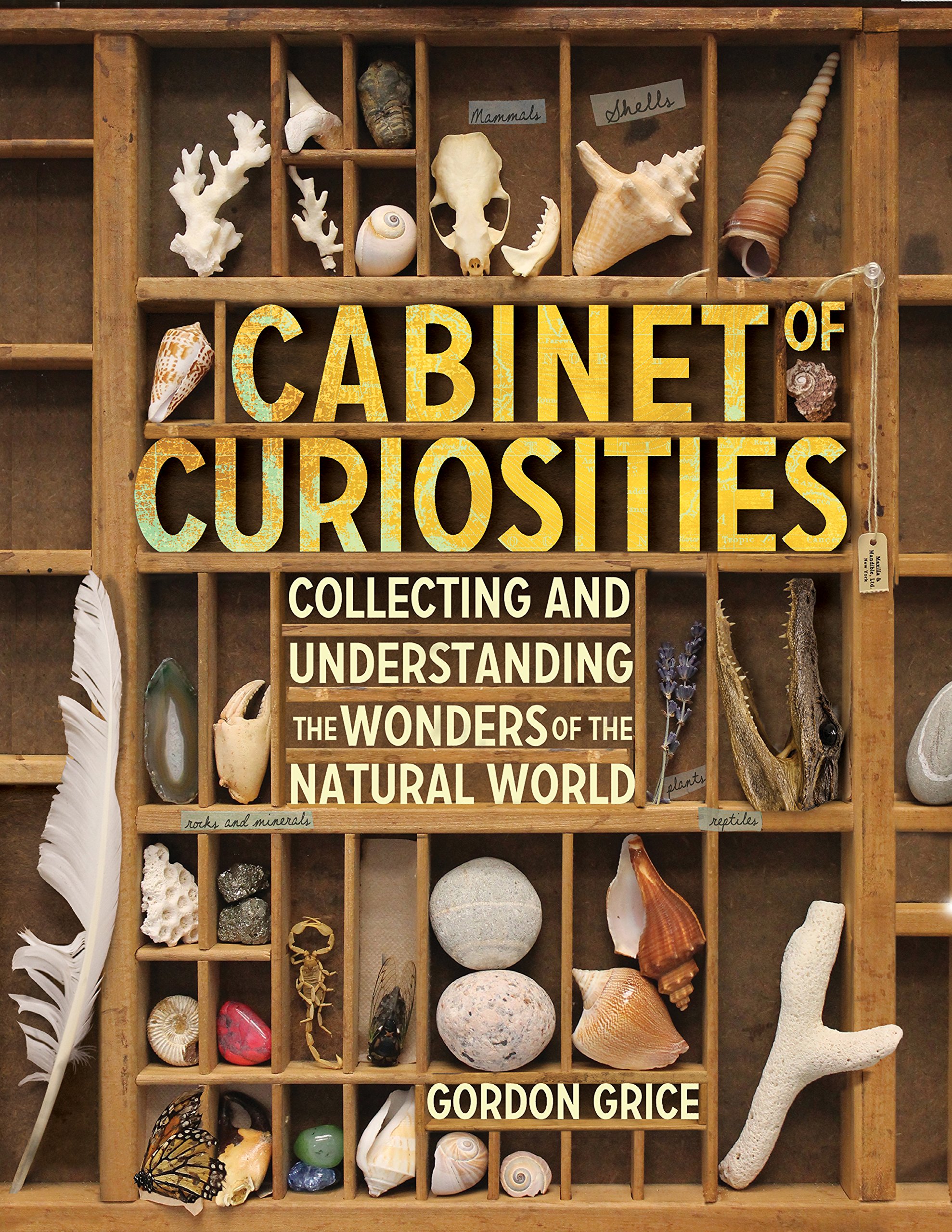 Cabinet of Curiosities: Collecting Natural Wonders & Exploring Nature's Mysteries - Perfect for Home Decor, Science Enthusiasts & Unique Gift Ideas