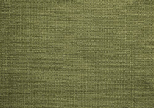 Cactus Hemp
