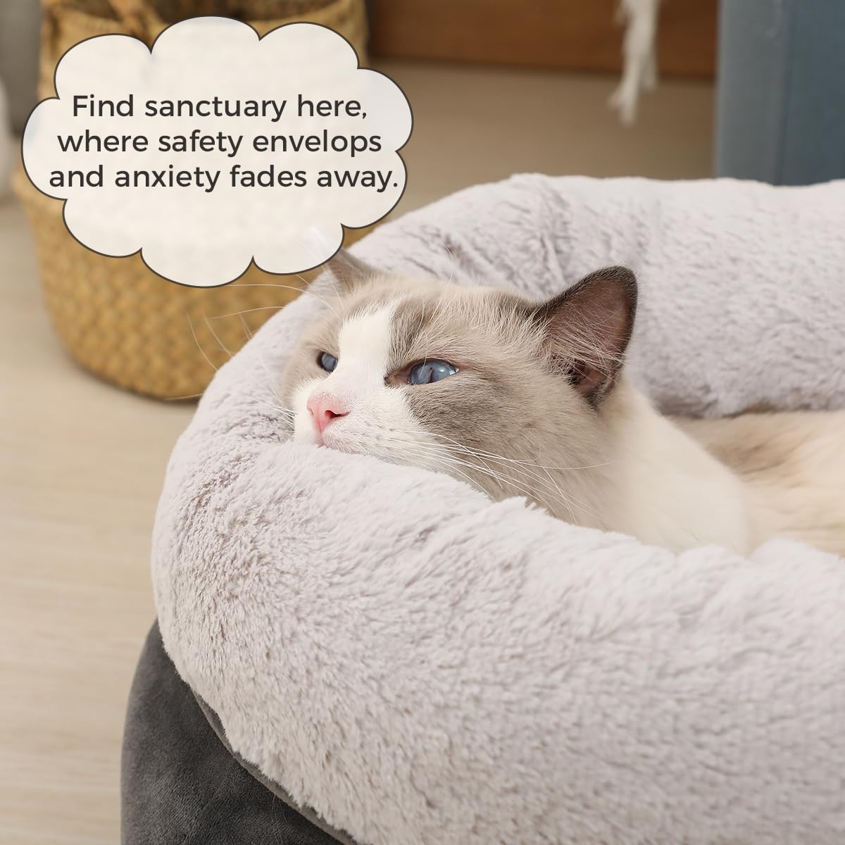 Washable Round Cat Bed for Indoor Cats & Small Pets - Non-Slip Bottom, 19 Inch Cozy Pet Bed for Kittens & Puppies (Deep Grey) - Perfect for Living Room, Bedroom & Pet Napping Spaces