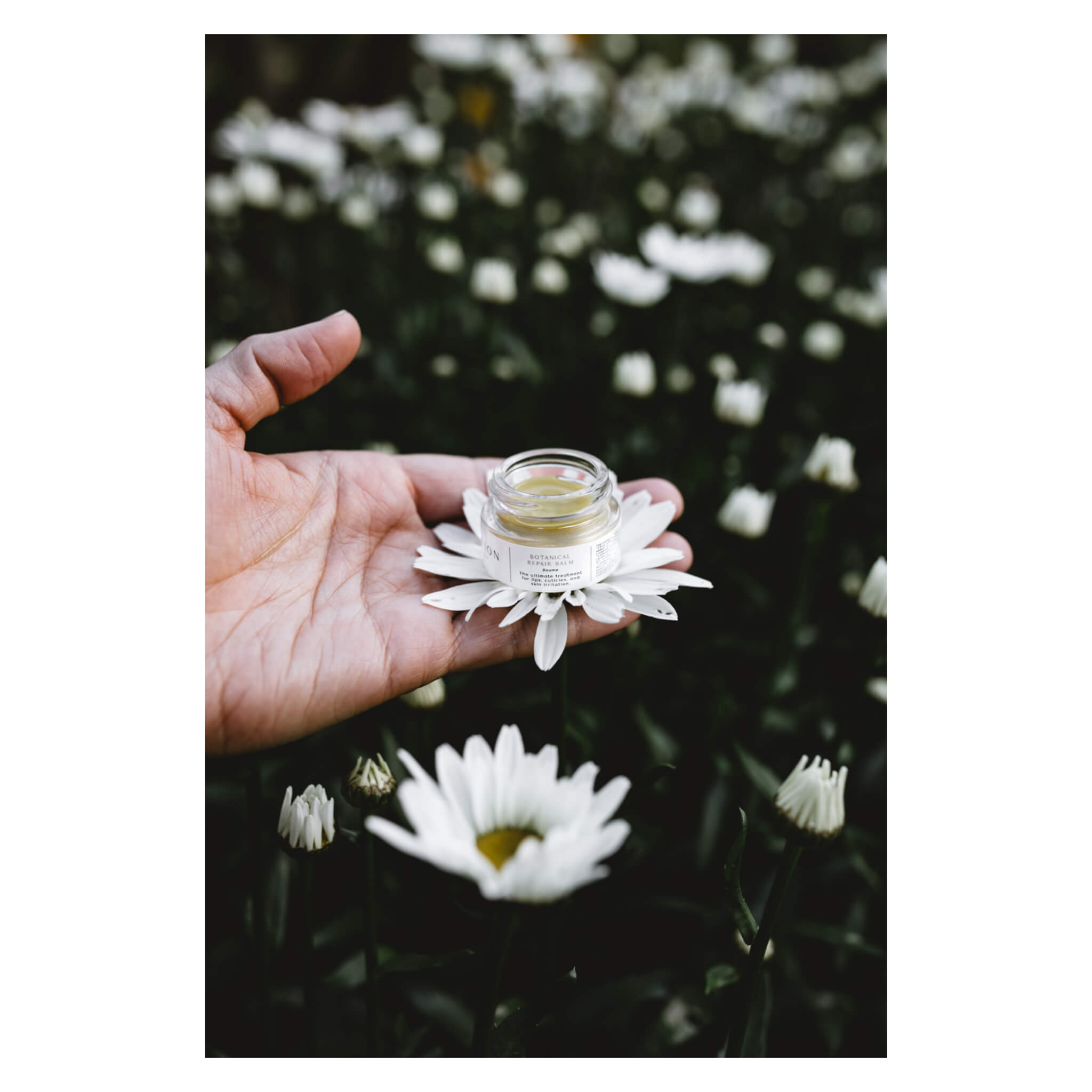 Botanical Repair Balm for Dry Skin - Organic Healing Balm for Cracked Hands, Lips & Cuticles - Natural Moisturizer for Daily Skincare Routine