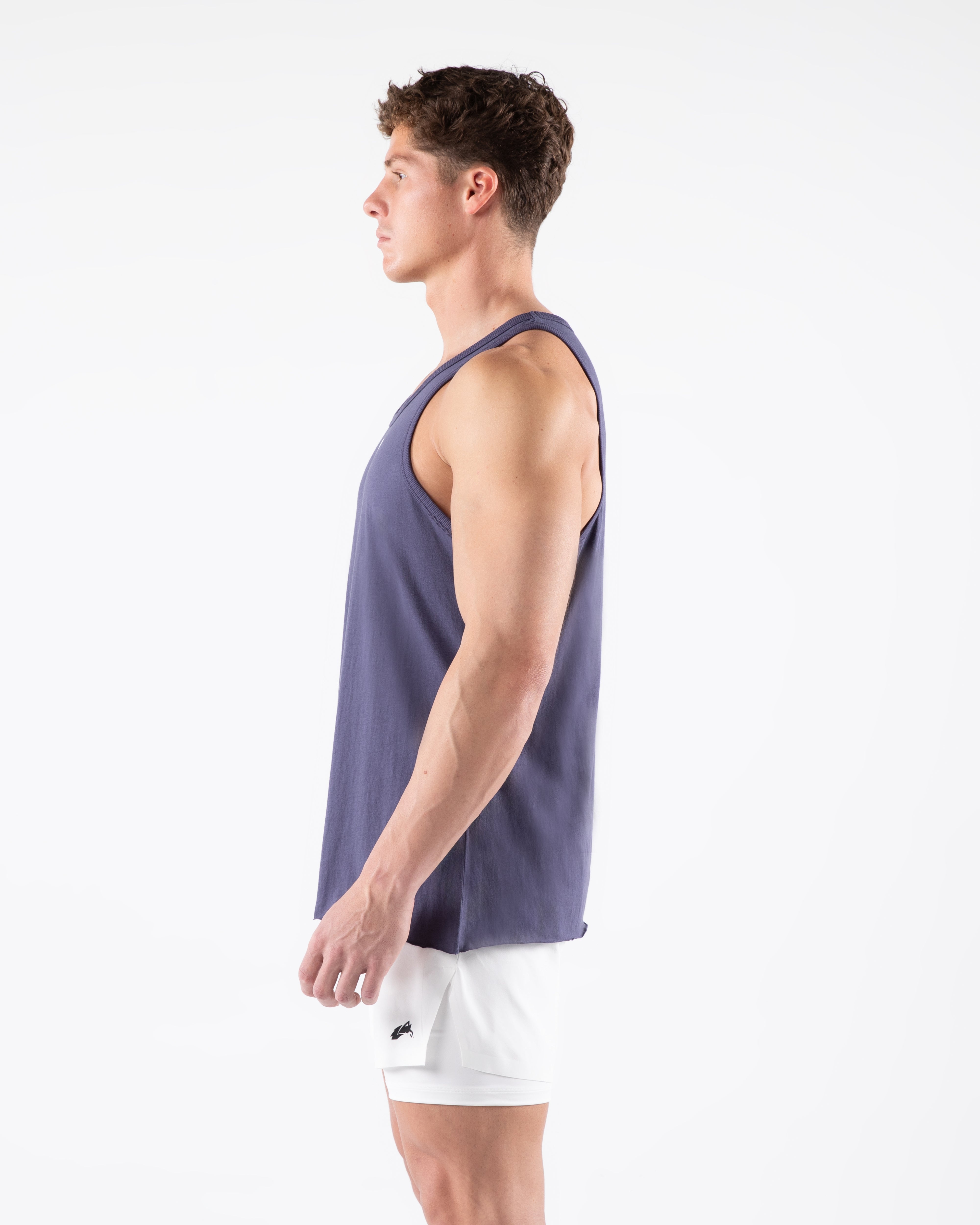 Three Pillar Tank Top - Soft Muted Purple Women's Casual Shirt for Summer Outfits & Layering