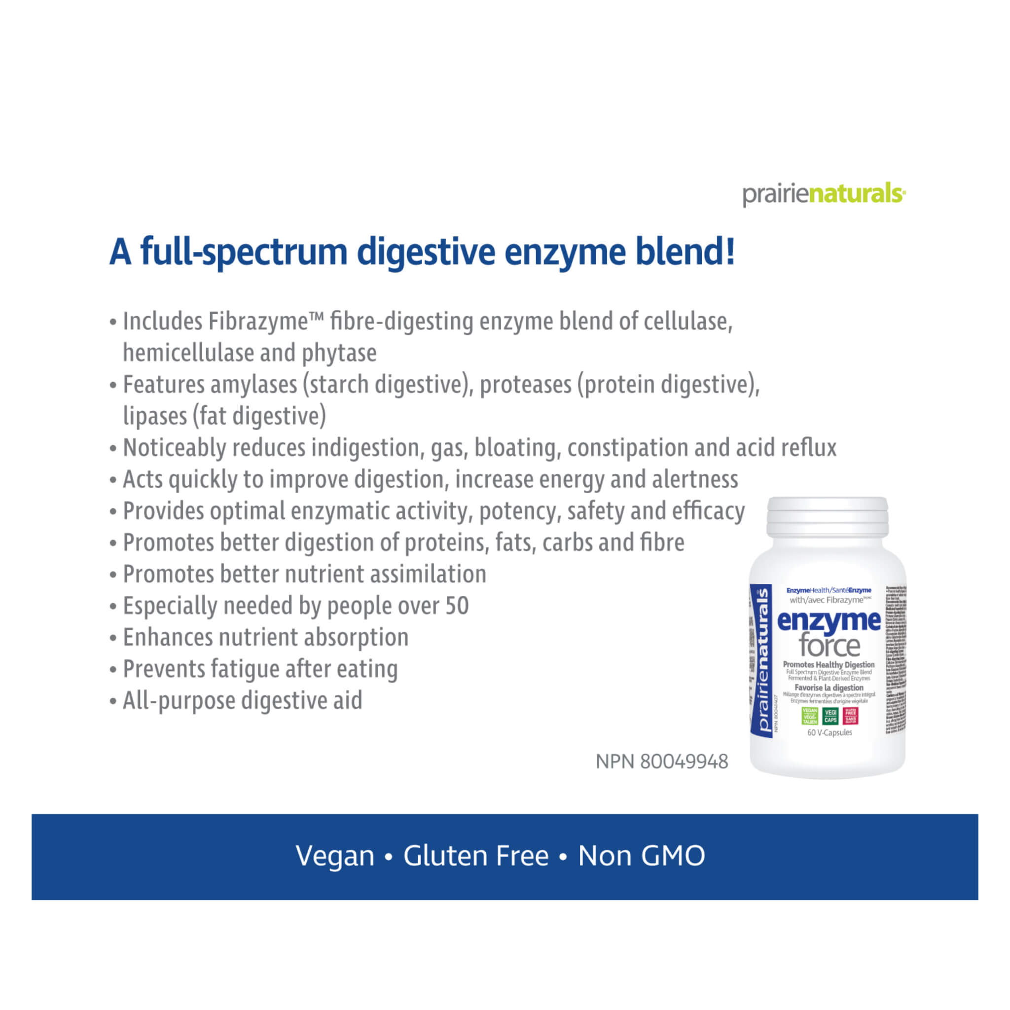 Enzyme Force - Premium Digestive Enzyme Supplement for Gut Health & Digestion Support | Ideal for Bloating Relief & Nutrient Absorption | Perfect for Active Lifestyles & Post-Meal Comfort