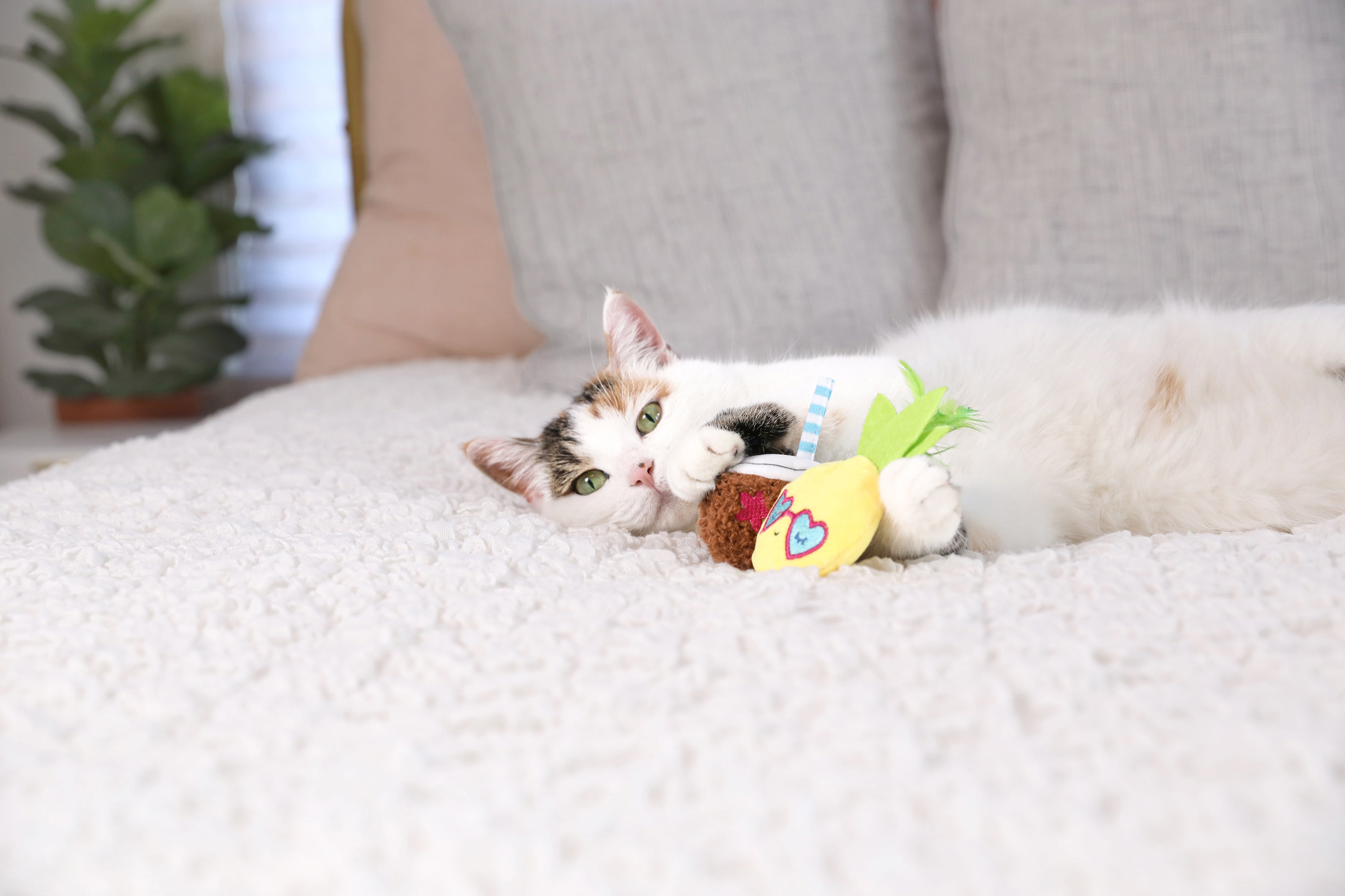 Quirky Kitty Purrfect Pina Colada Catnip Plush Toy for Cats - Fun Interactive Playtime & Stress Relief for Indoor Kitties