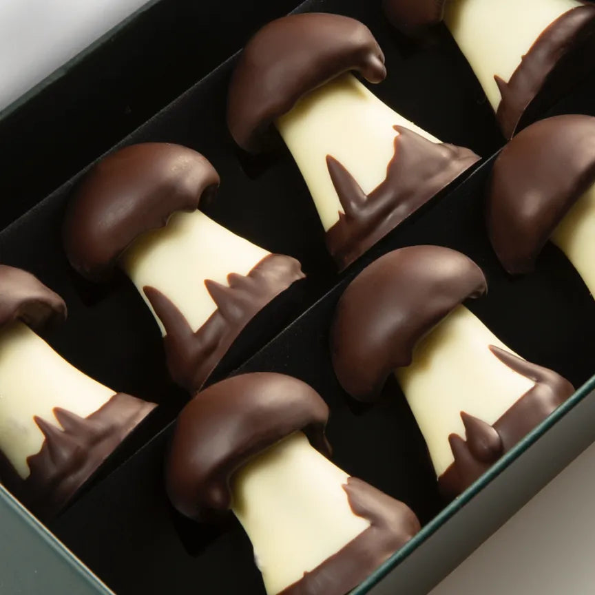 Michel Cluizel Gourmet Chocolate Mushroom Truffles with Caramel Filling - Luxury Gift for Holidays, Birthdays & Romantic Occasions