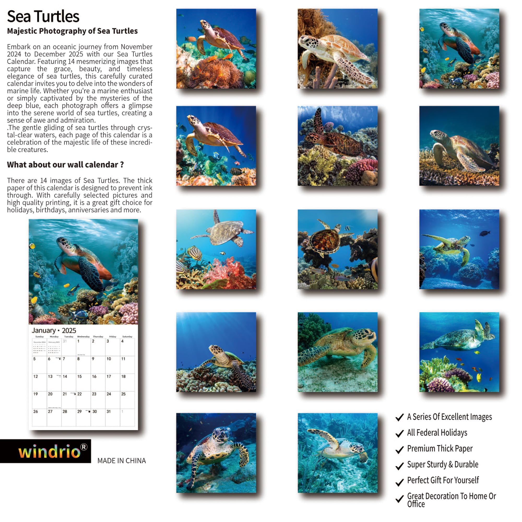2025 Sea Turtles Wall Calendar - November 2024 to December 2025 | 12