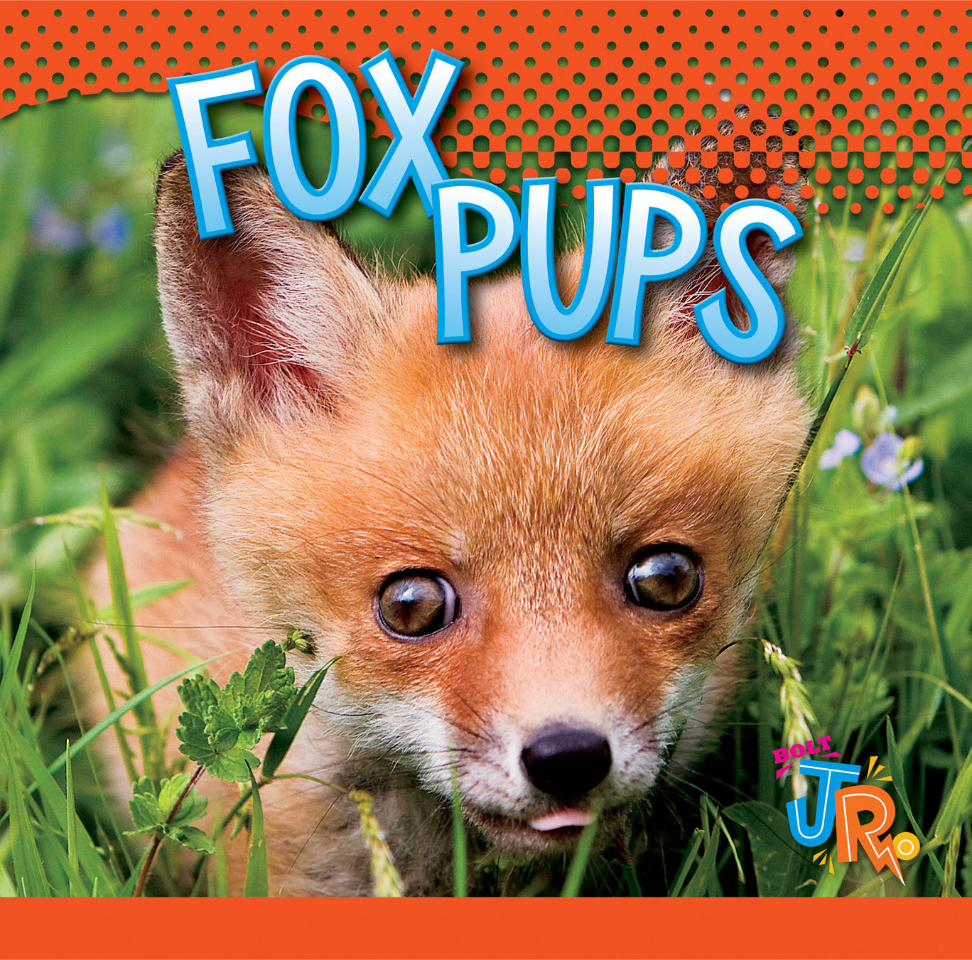 Fox Pups Book 9781623101381 - Adorable Fox Baby Stories for Kids, Perfect for Bedtime Reading and Animal Lovers