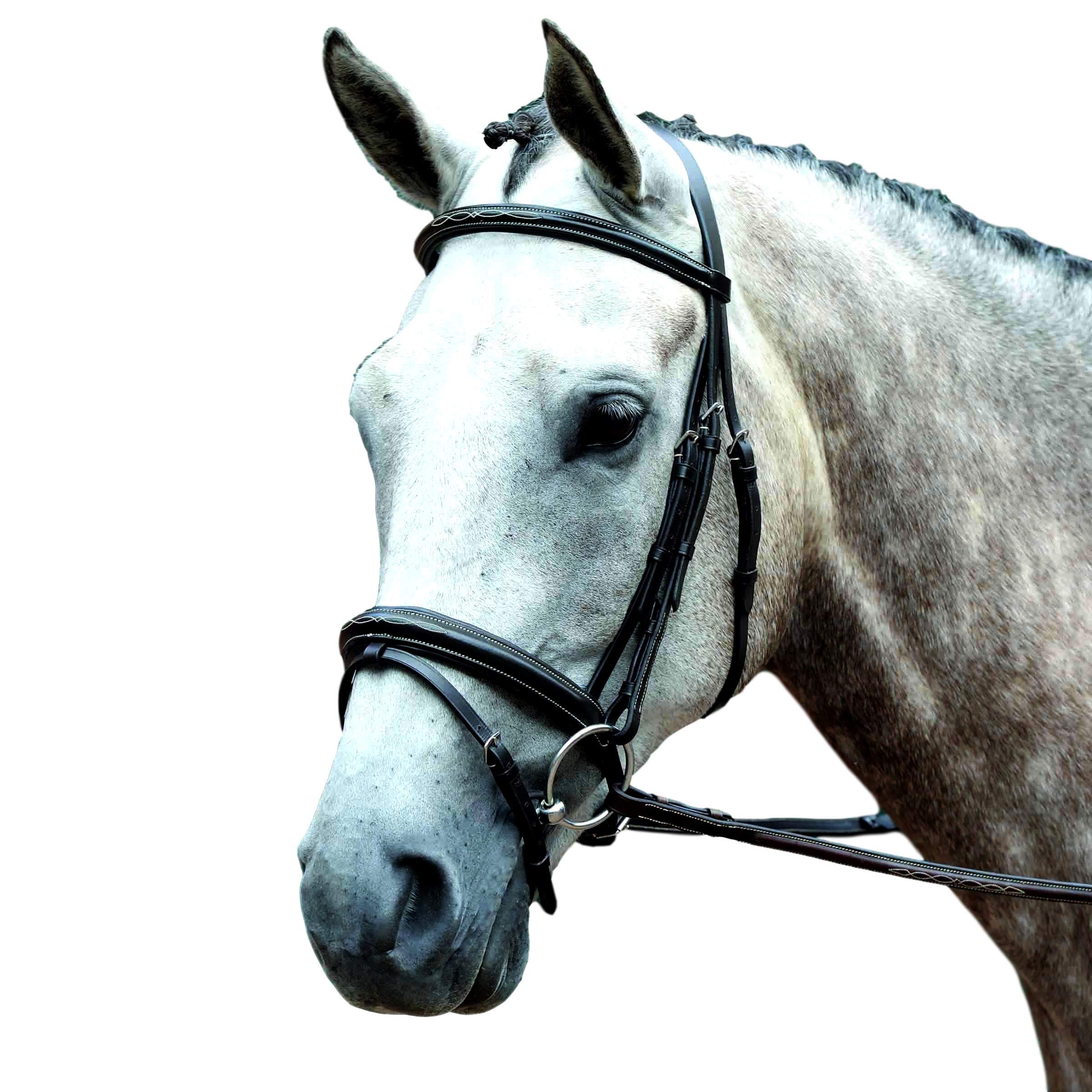 Premium Padded Raised Fancy Stitched Flash Bridle for Horses & Ponies - Comfort Fit Brown Leather Equestrian Bridle - Perfect for Dressage, Show Jumping & Trail Riding
