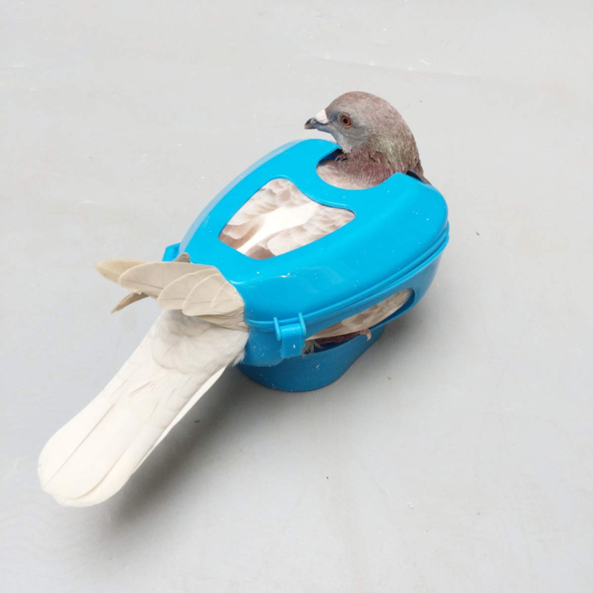 ULTECHNOVO Pigeon Feeder Holder - Sturdy Handheld Bird Feeding Rack for Doves & Pigeons | Blue Bird Toy with Fixed Mount | Perfect for Bird Watching, Training & Outdoor Feeding Activities