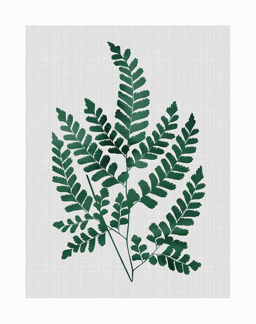 Chestnut Green Botanical Art Print - Nature Inspired Wall Decor for Living Room, Bedroom & Office | Unframed Poster