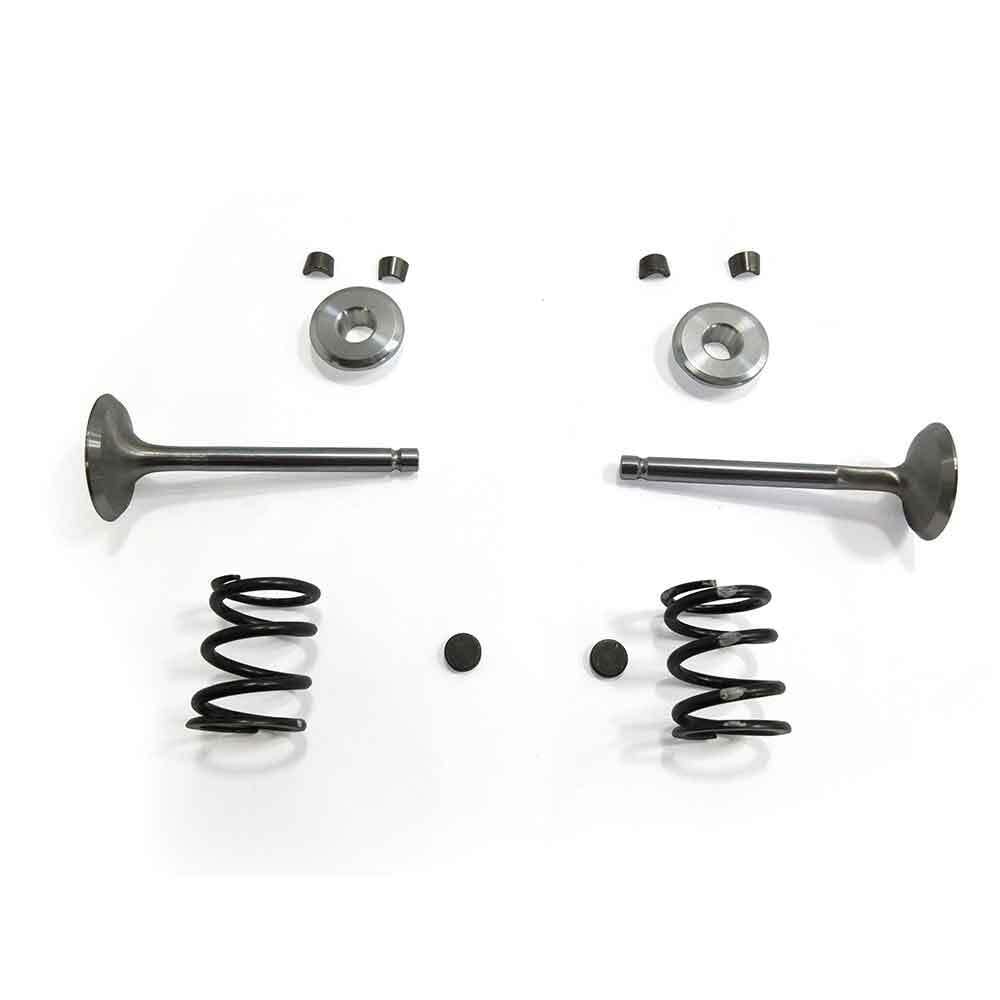 High Performance Stainless Steel Valve Kit for Predator 212 & 224 Hemi Engines - Upgrade Your Small Engine for Go-Karts, Mini Bikes, and Racing Applications