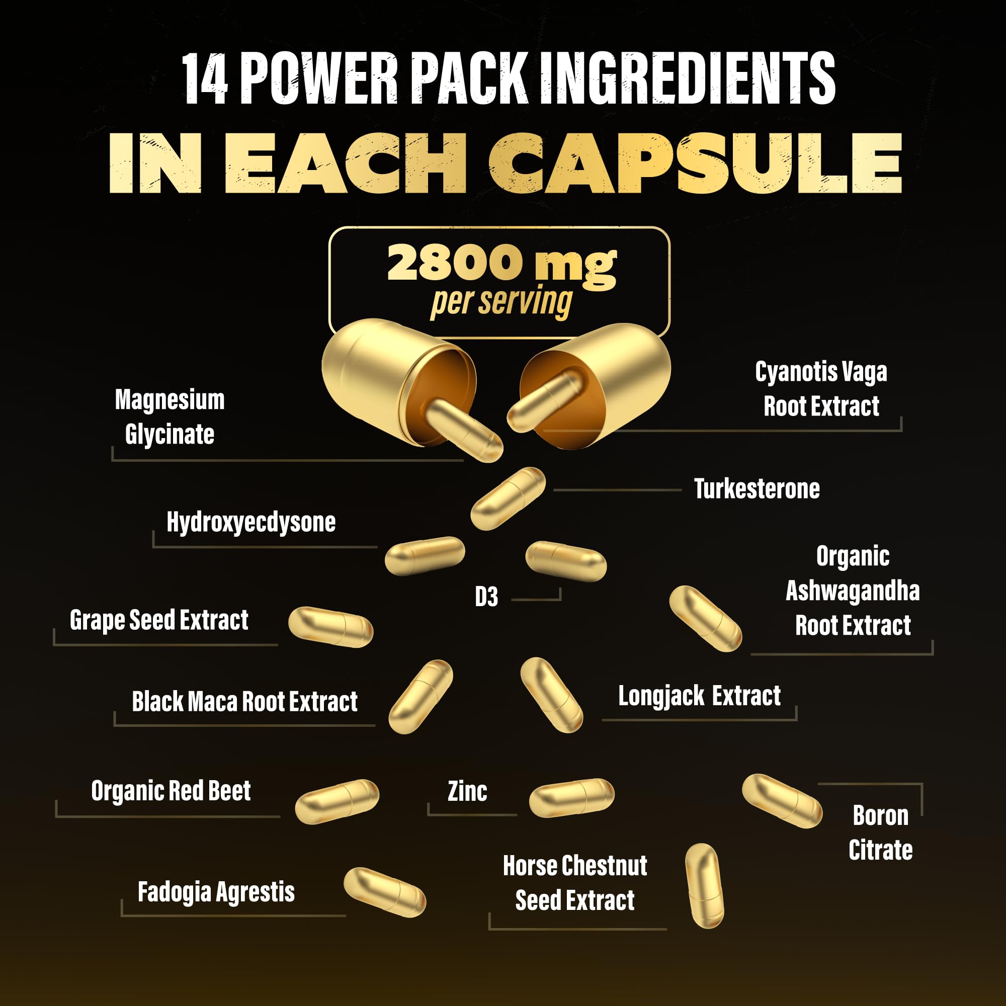 Best Testosterone Booster for Men - Natural Muscle Growth & Stamina Supplement with Turkesterone, Tongkat Ali & Fadogia Agrestis | Enhance Energy, Vitality & Recovery | Ideal for Gym, Workout & Active Lifestyle
