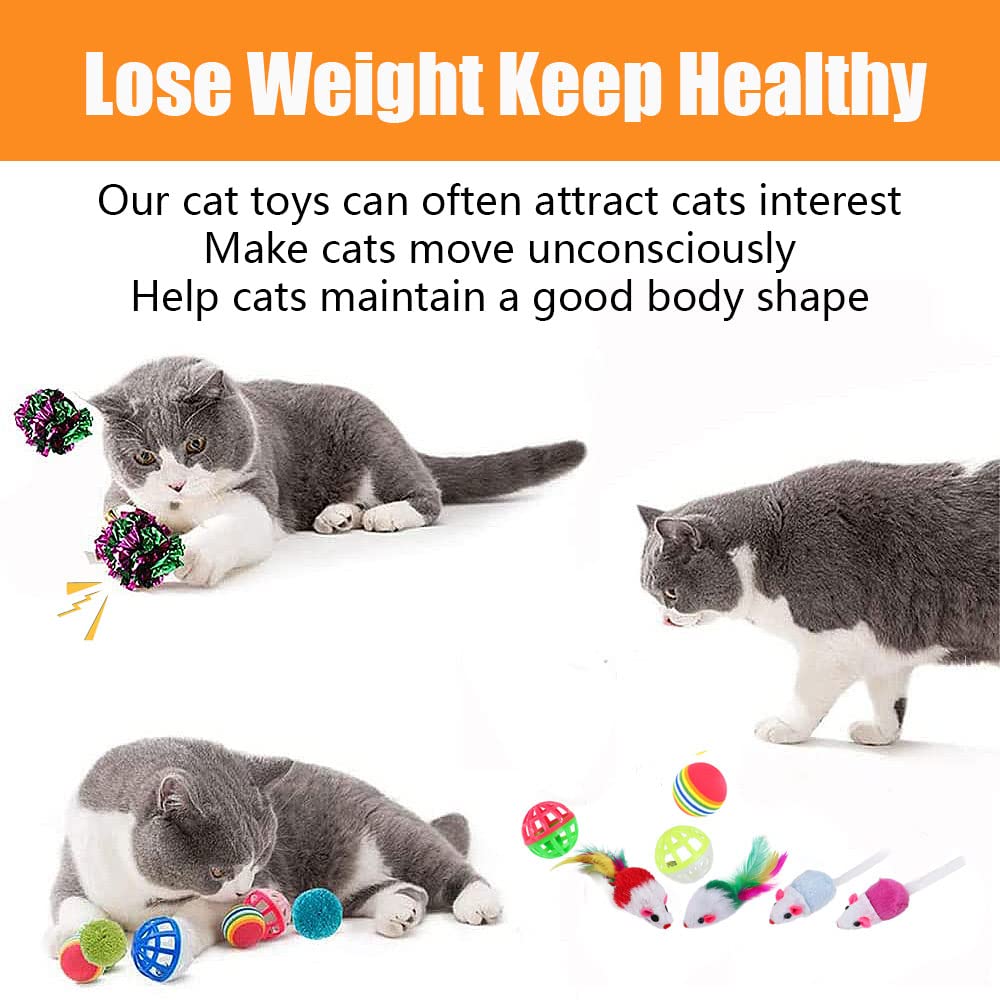 Speedy Panther 14-Pack Interactive Cat Toys for Indoor Cats & Kittens - Fun Roller Exerciser, 3-Level Teaser Balls & Feather Wand - Perfect for Playtime, Exercise & Bonding with Your Feline Friend