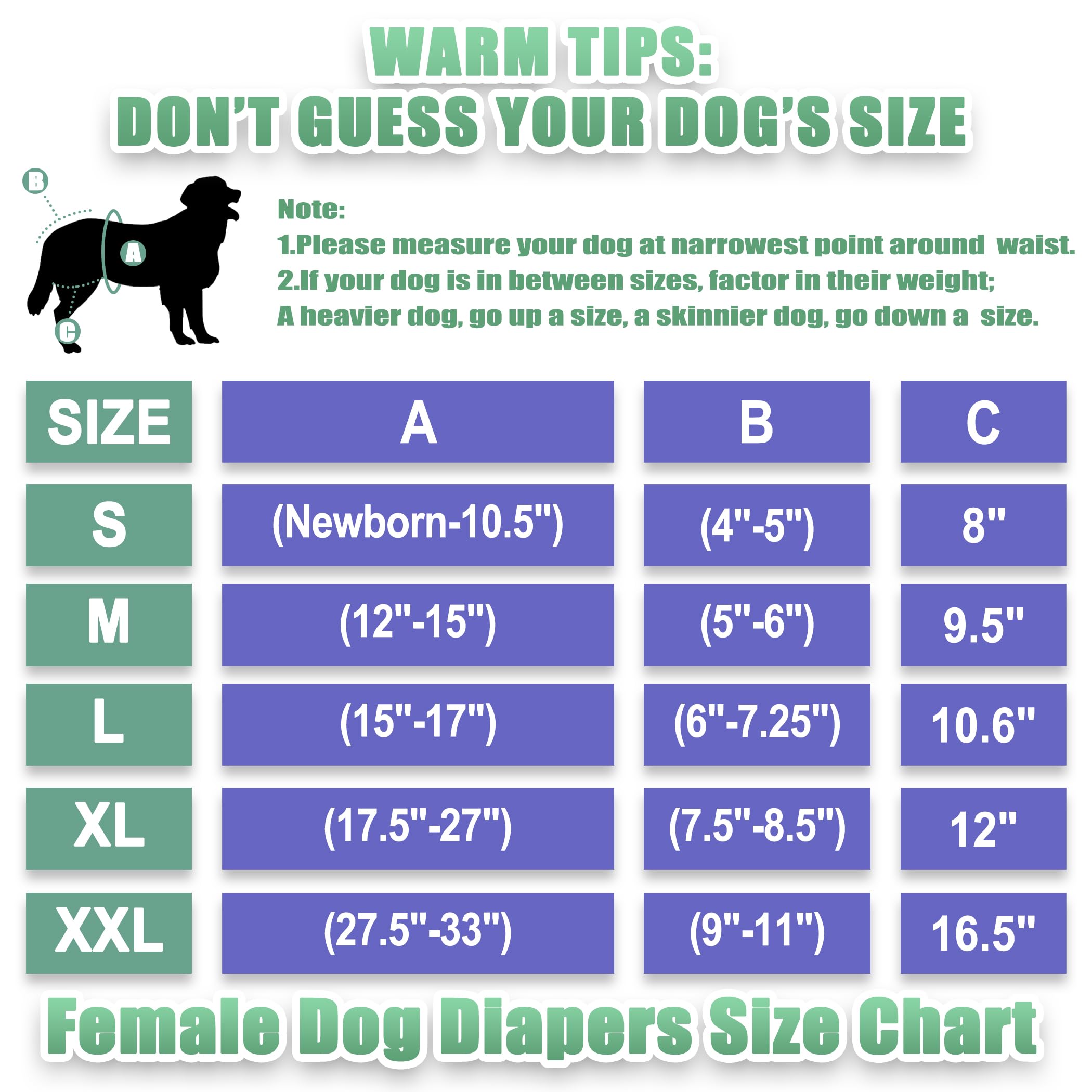 Wegreeco Washable Reusable Premium Female Dog Diapers - Small, Medium & Large Sizes | 3-Pack Absorbent Puppy Diapers for In-Heat Dogs | Perfect for House Training, Travel & Nighttime Protection (Small)