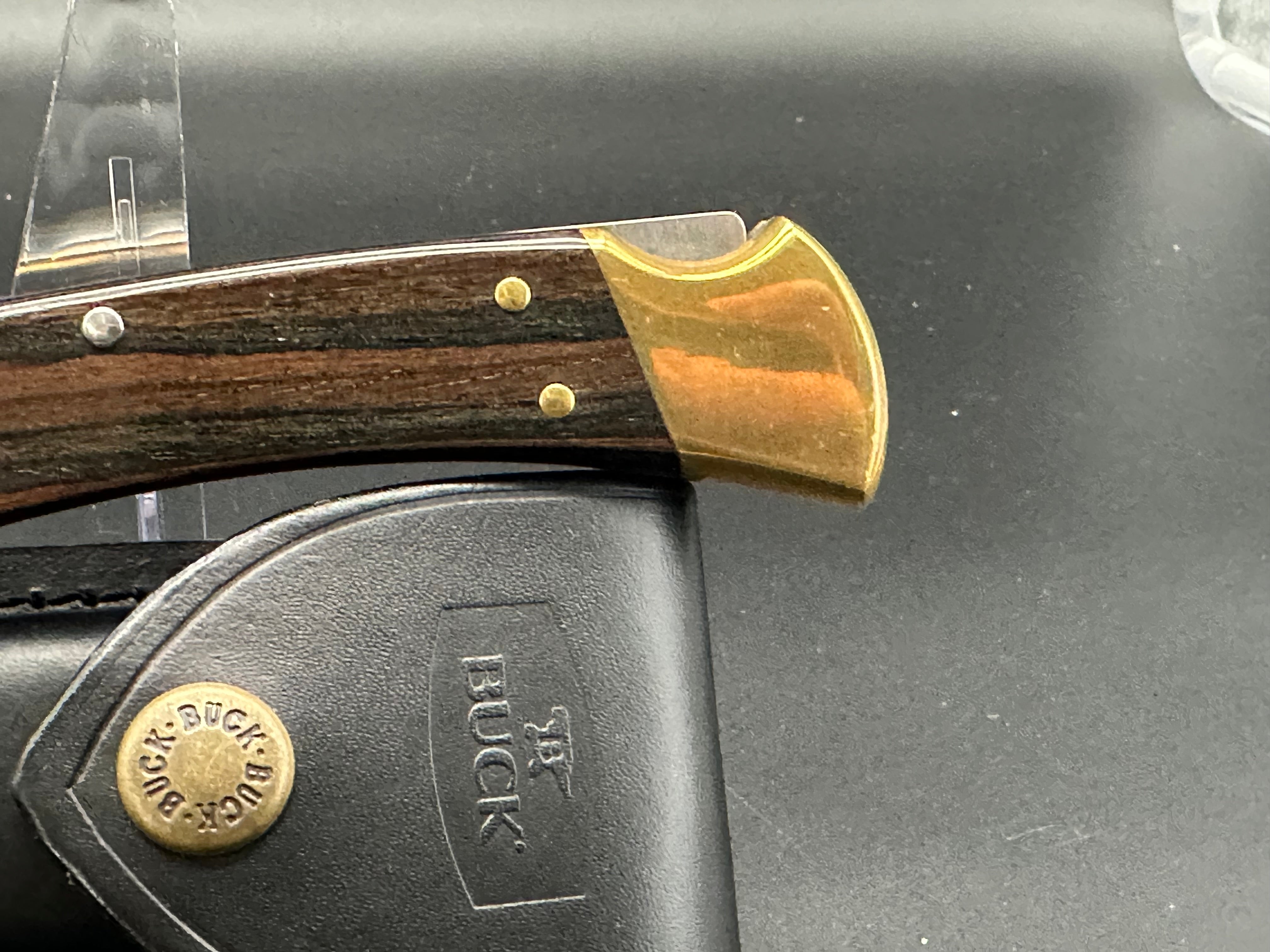 Buck 110 Folding Hunter Knife - Premium Stainless Steel Blade, Genuine Wood Handle - Ideal for Camping, Hunting & Outdoor Adventures