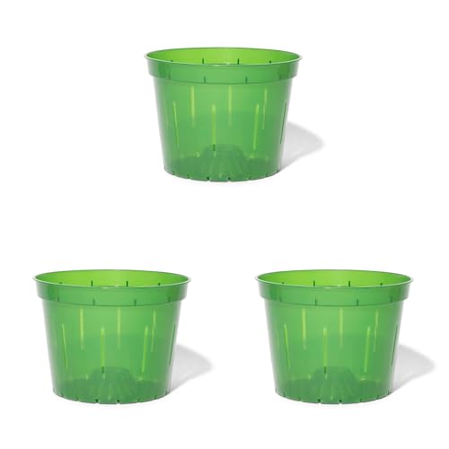 Green Emerald
