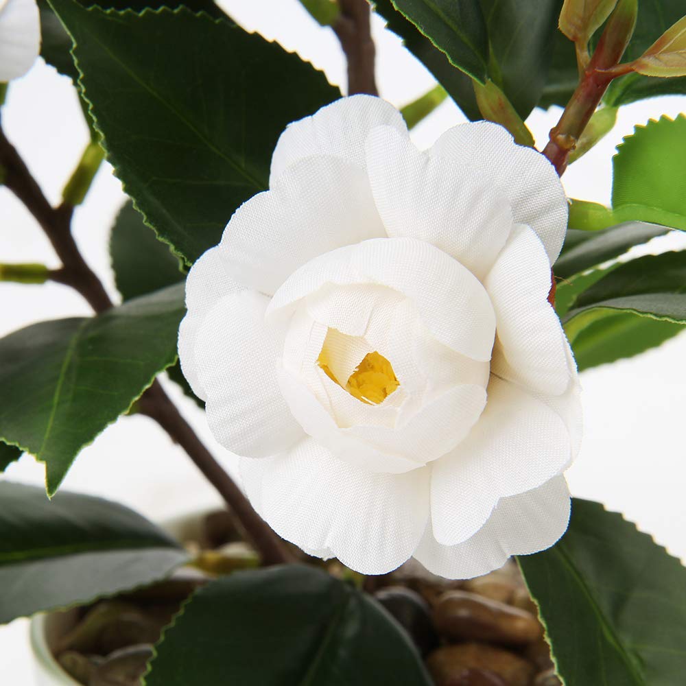 Briful Mini Camellia Artificial Potted Plants - Small Faux Plastic Flowers with Vase for Home, Office, Desk, Kitchen Decor | Perfect for Indoor Greenery, Table Centerpieces & Shelf Displays