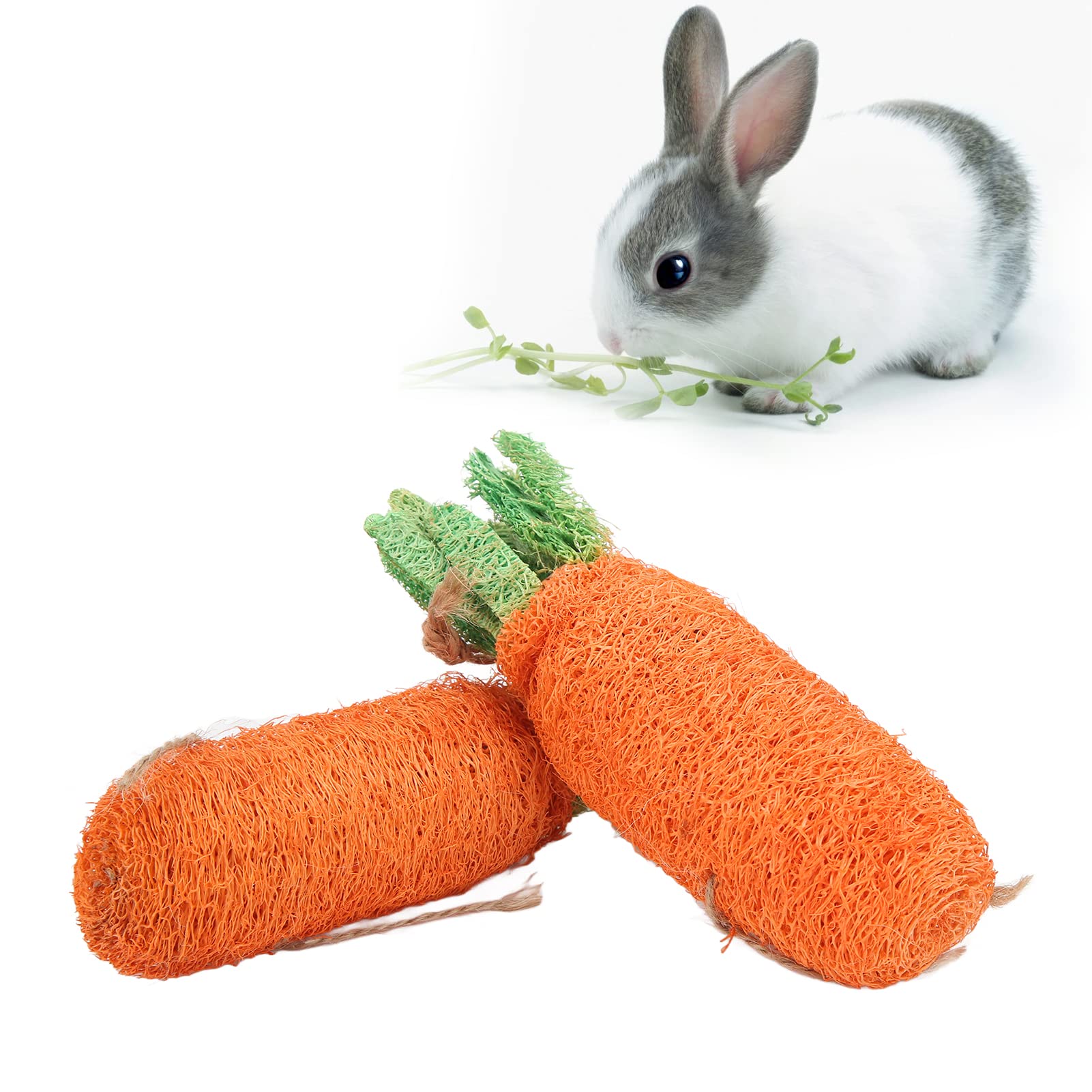Natural Loofah Rabbit Chew Toys for Small Animals - 2 Pack Dental Treats for Teeth Grinding - Perfect for Bunnies, Guinea Pigs & Hamsters - Promotes Healthy Teeth & Stress Relief