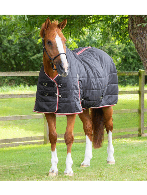 Premier Equine Garissa Stable Rug 100g - Heavyweight Horse Blanket for Winter Warmth & Comfort - Ideal for Stable Use, Cold Weather Protection & Show Preparation
