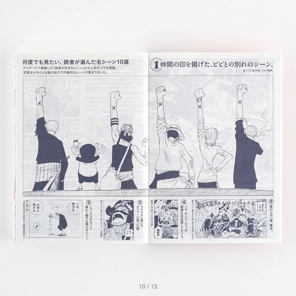 Hobonichi Techo 2025 Japanese Original Planner - One Piece Edition (A6 Size, Daily, January Start) | Perfect for Anime Fans, Journaling & Productivity | School, Office & Personal Use