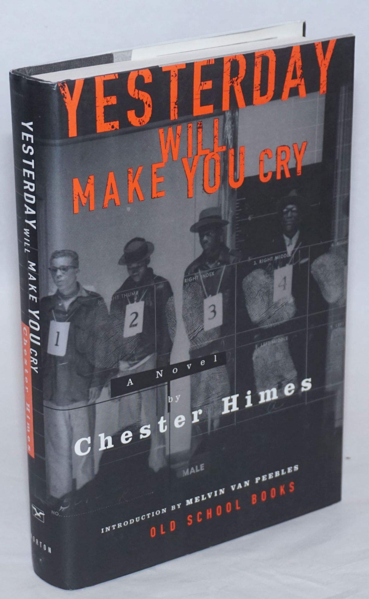 Yesterday Will Make You Cry: A Novel - Classic Literature Book for Emotional Healing & Thought-Provoking Reading | Perfect for Book Clubs, Gifts, and Personal Reflection