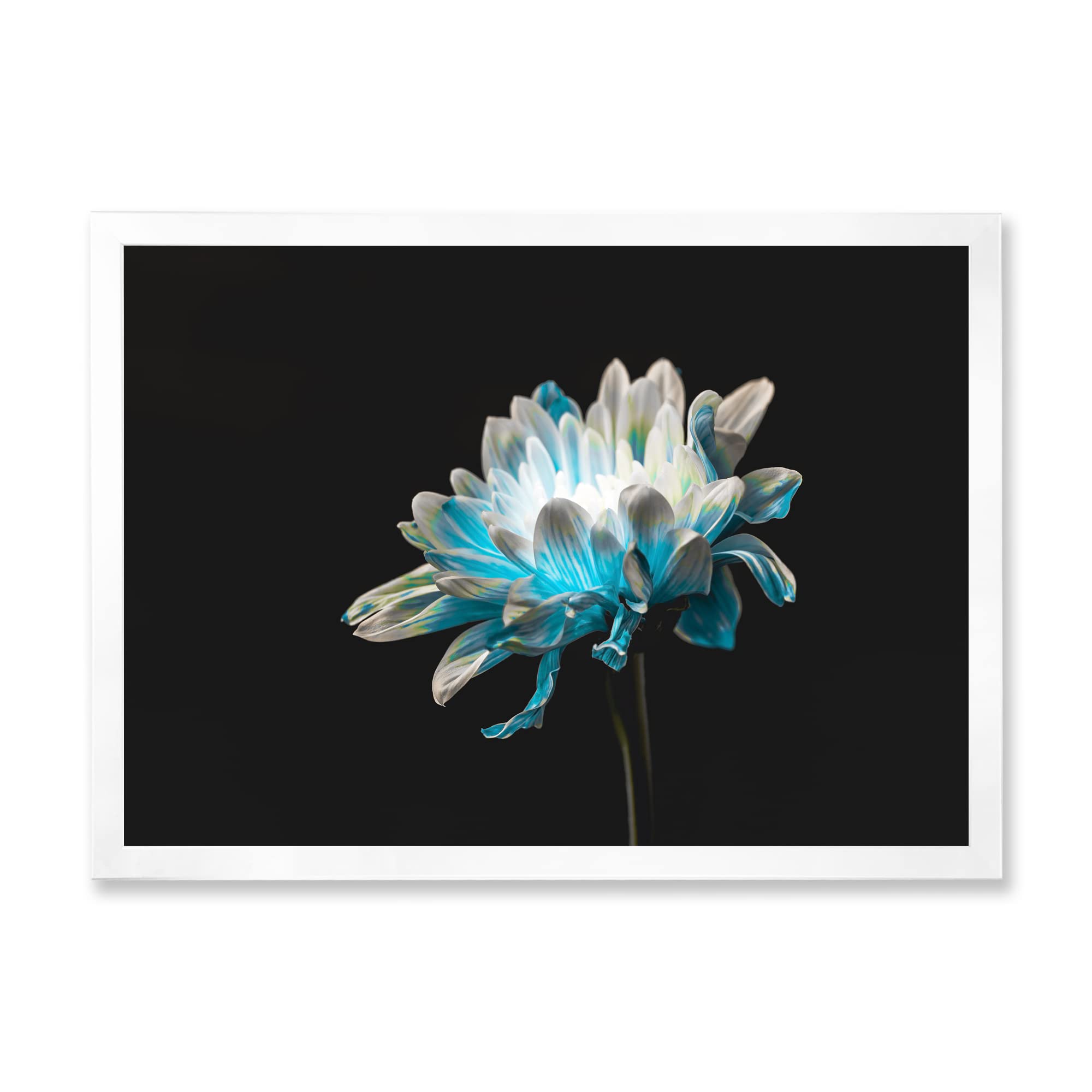 Traditional Blue and White Daisy Flower Framed Wall Art - Vintage Home Decor for Living Room, Bedroom & Office