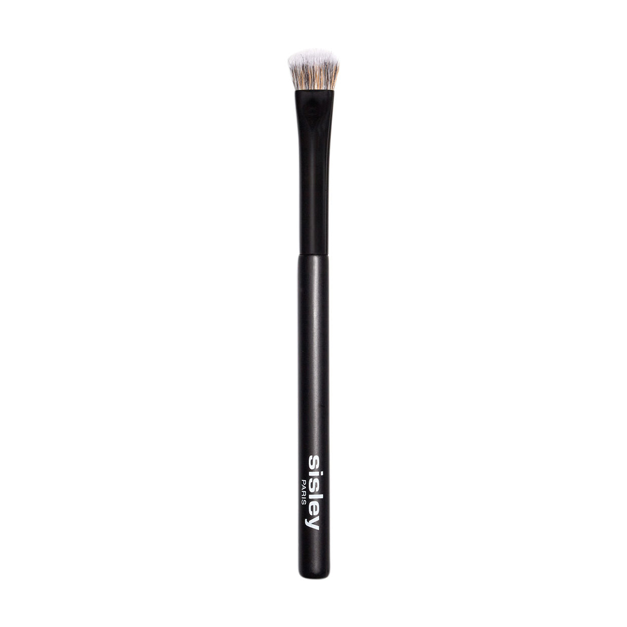 Professional Eyeshadow Brush Set - Soft Bristles for Blending & Shading - Perfect for Makeup Artists & Beginners - Ideal for Everyday Use & Special Occasions