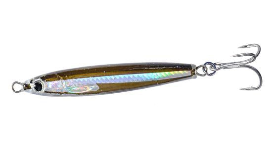 Anchovy