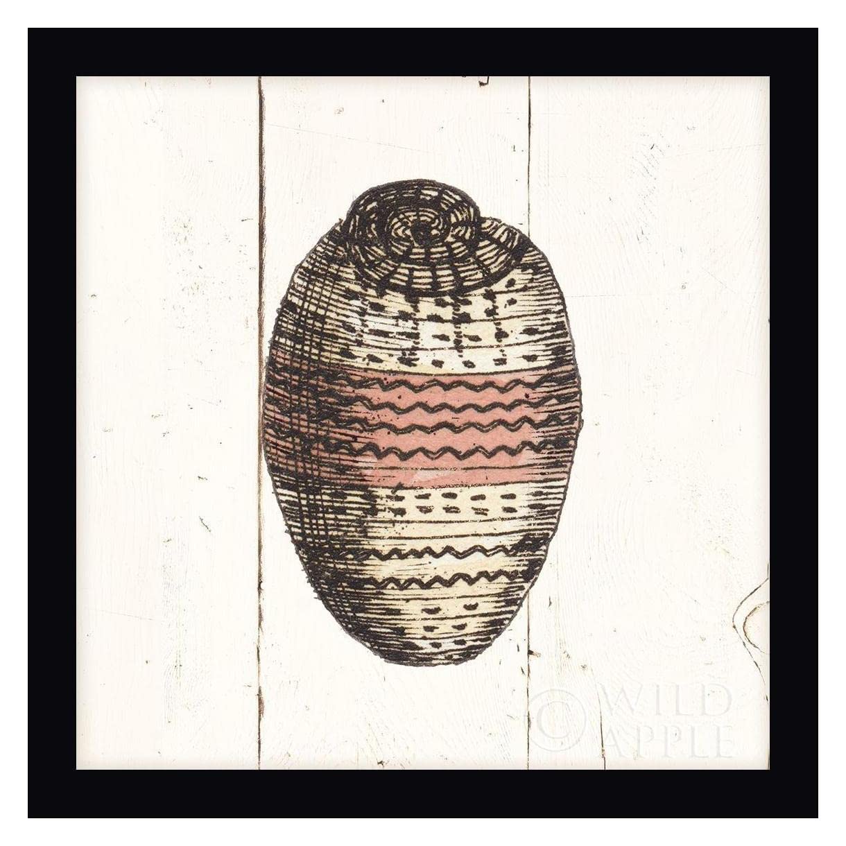 Wild Apple Portfolio Shell Sketches IV Shiplap Framed Canvas Art Print - 36x36 Inches, Black Frame, Ready to Hang - Perfect for Beach House Decor, Coastal Living Room Wall Art, Nautical Bedroom Accent