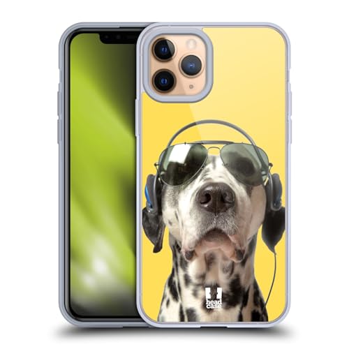 Grooving Dalmatian