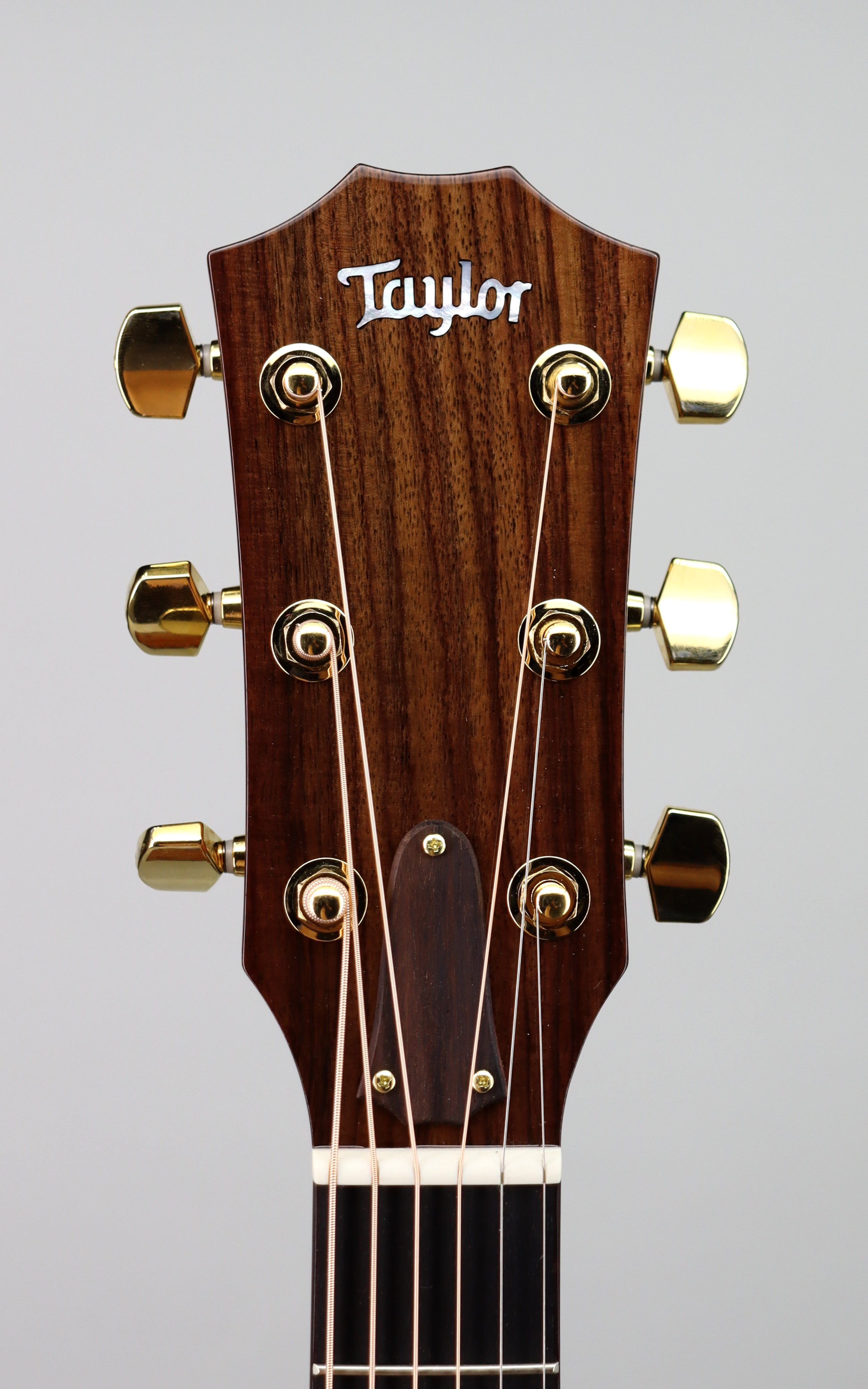 Taylor Legacy 514ce Limited Signed Edition Acoustic Guitar - Handcrafted Premium Tonewood for Professional Musicians & Collectors | Perfect for Live Performances, Studio Recording & Gift Giving