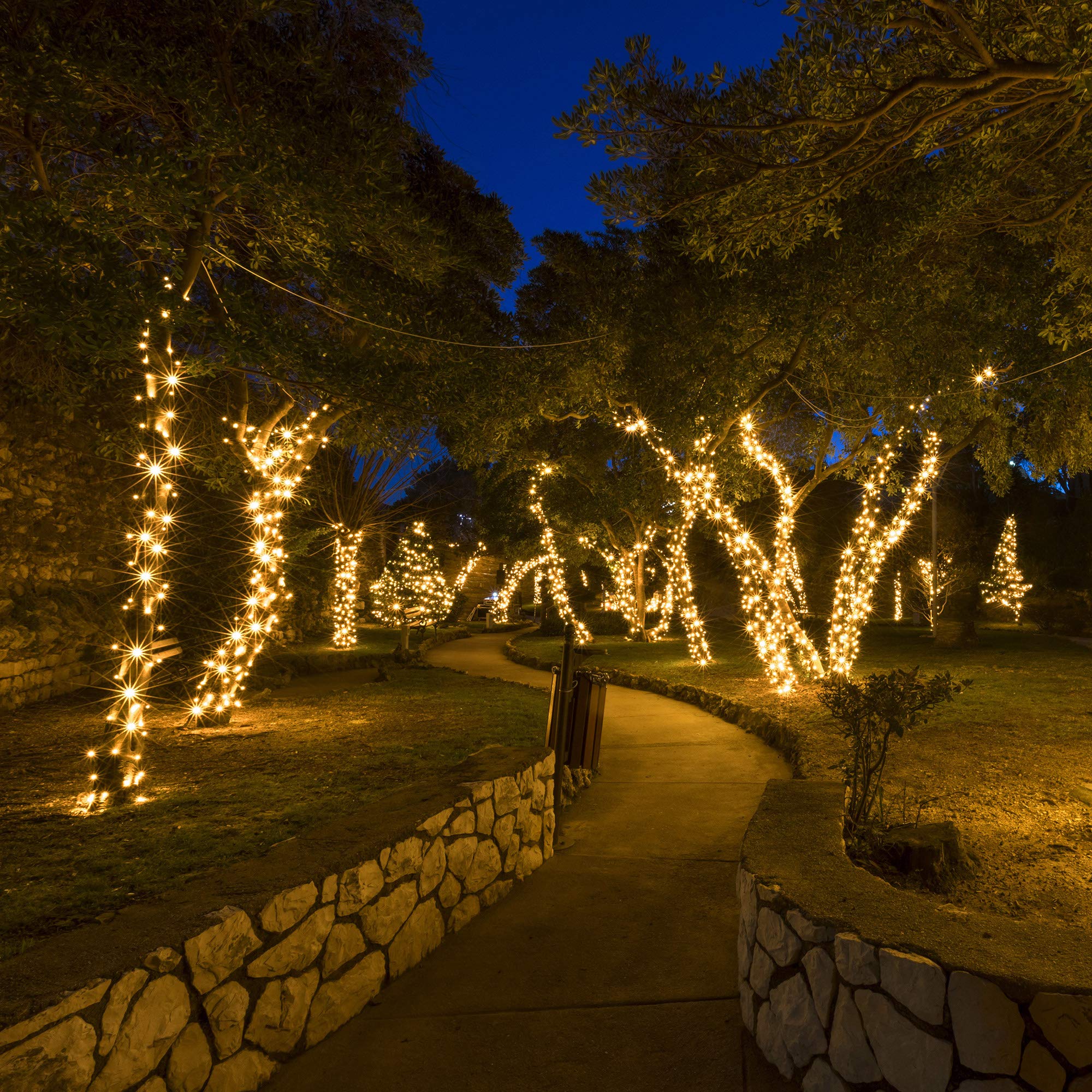 Warm White Mini String Lights - 50 LED Christmas Lights for Indoor & Outdoor Tree Decor