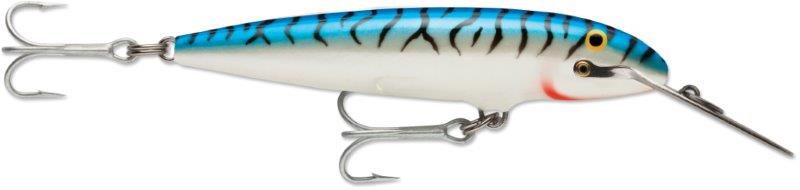 SILVER MACKEREL