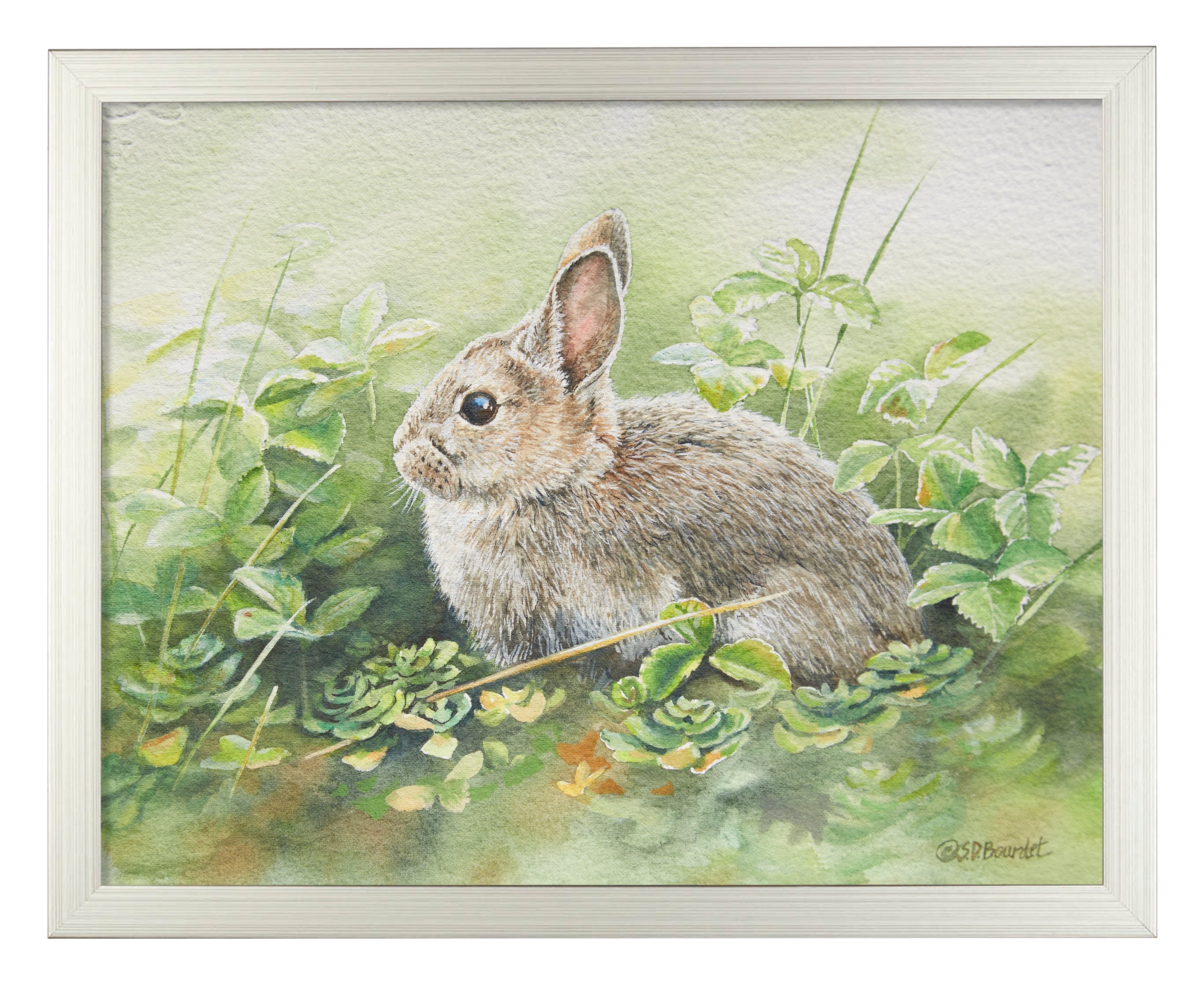 Cottontail Adventure Art Prints - Beautiful Rabbit Wall Decor for Nursery, Kids Room & Home - Perfect Gift for Animal Lovers