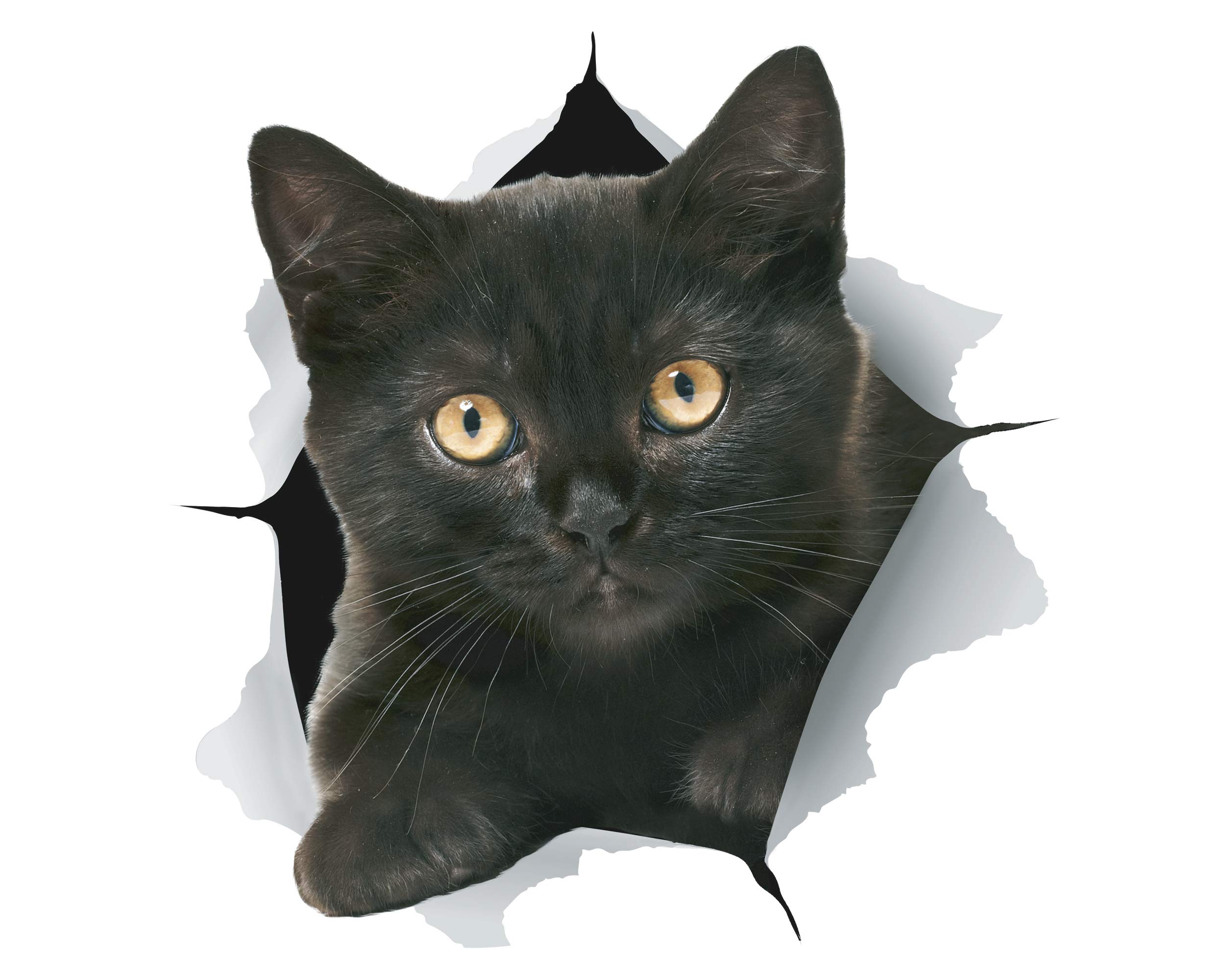 Winston & Bear 3D Cat Stickers - 2 Pack Black Cat Wall Decals - Perfect Cat Lover Gifts for Home & Office Decor - Removable Vinyl Stickers for Bedroom, Fridge, Toilet, Car - Retail Packaging (Cheeky Black Cat Design) - Great for Pet Owners, Kids Rooms & DIY Home Decoration Projects