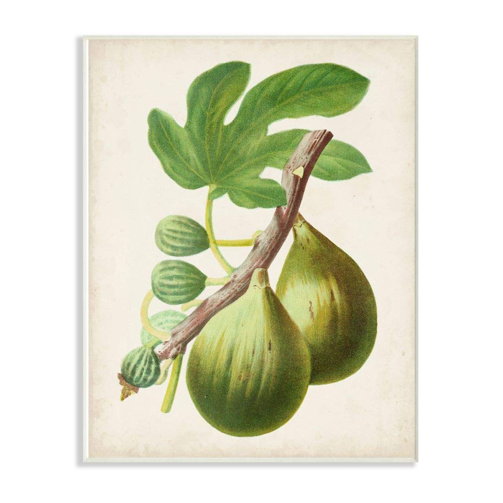 Stupell Industries Vintage Fruit Fig Painting Signs & Plaques - Multi-Color Wall Art Decor for Kitchen, Dining Room, or Farmhouse Style Home