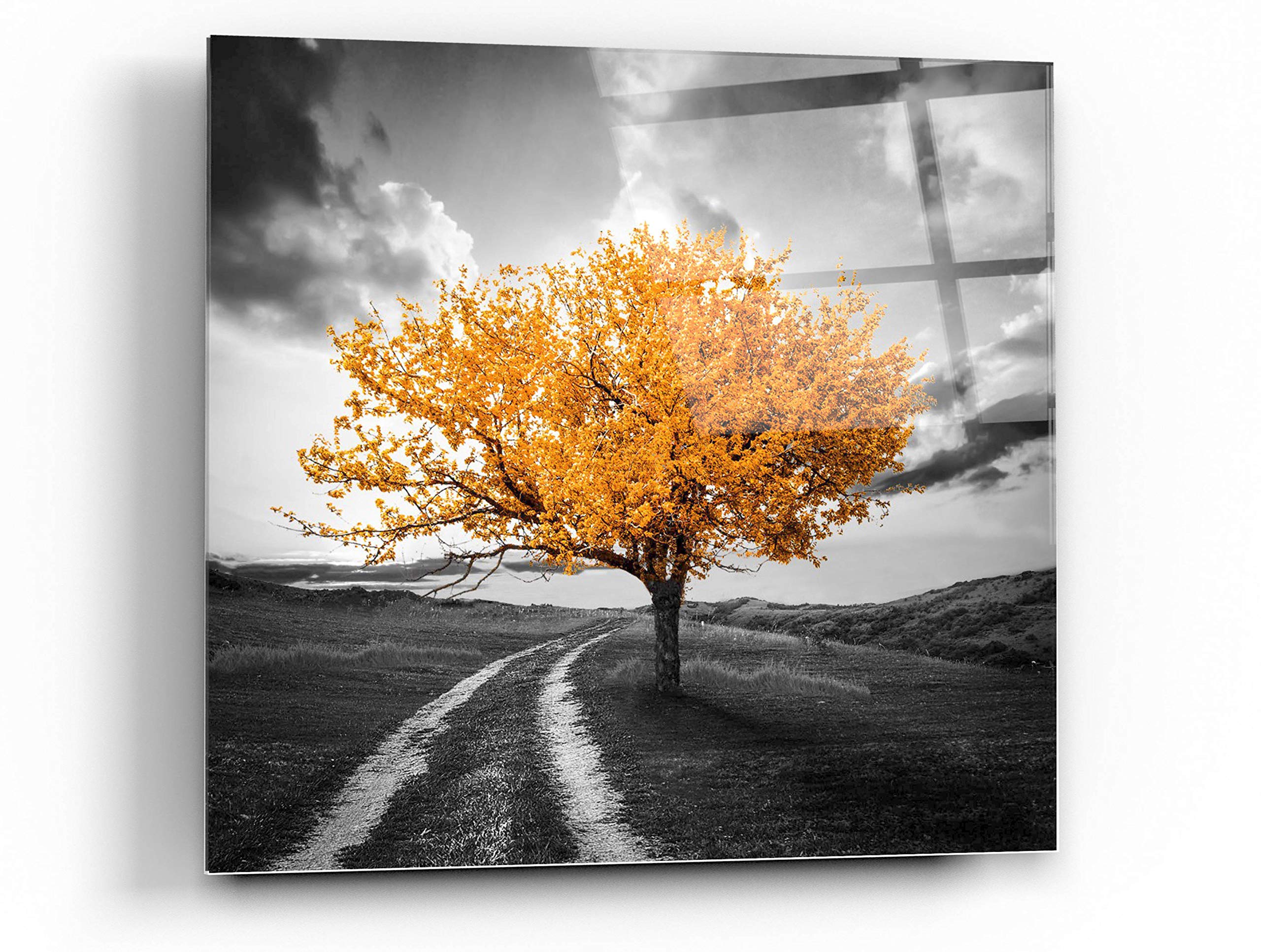 Vibrant Tree Series: Autumn - Acrylic Glass Wall Art Painting 24x24 Inches - Modern Home Decor for Living Room, Bedroom & Office