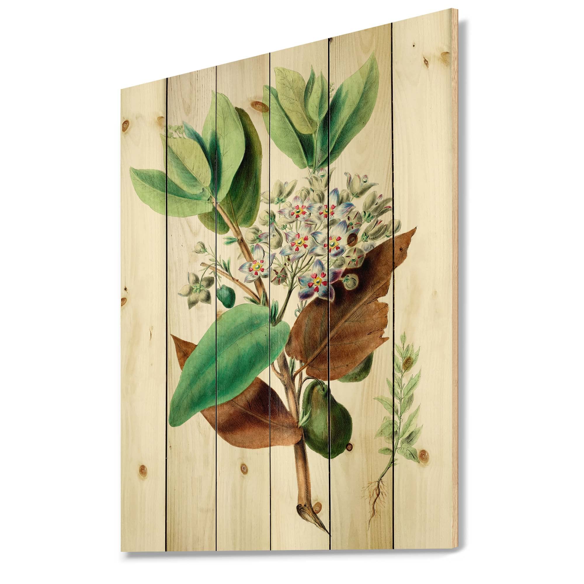 Vintage Plant Life XXVIII Traditional Wood Wall Decor - Large Floral Wall Art Panel Printed on Natural Pine Wood - Home & Office Decoration, Living Room, Bedroom Wall Hanging