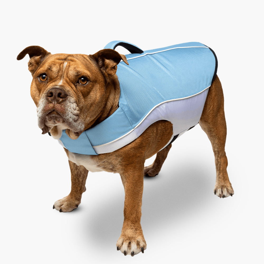 Dog Life Jacket for Swimming & Boating - Safe & Comfortable Dog Floatation Vest with Handle, Sky Blue - Perfect for Water Activities, Pool, Beach & Lakeside Adventures