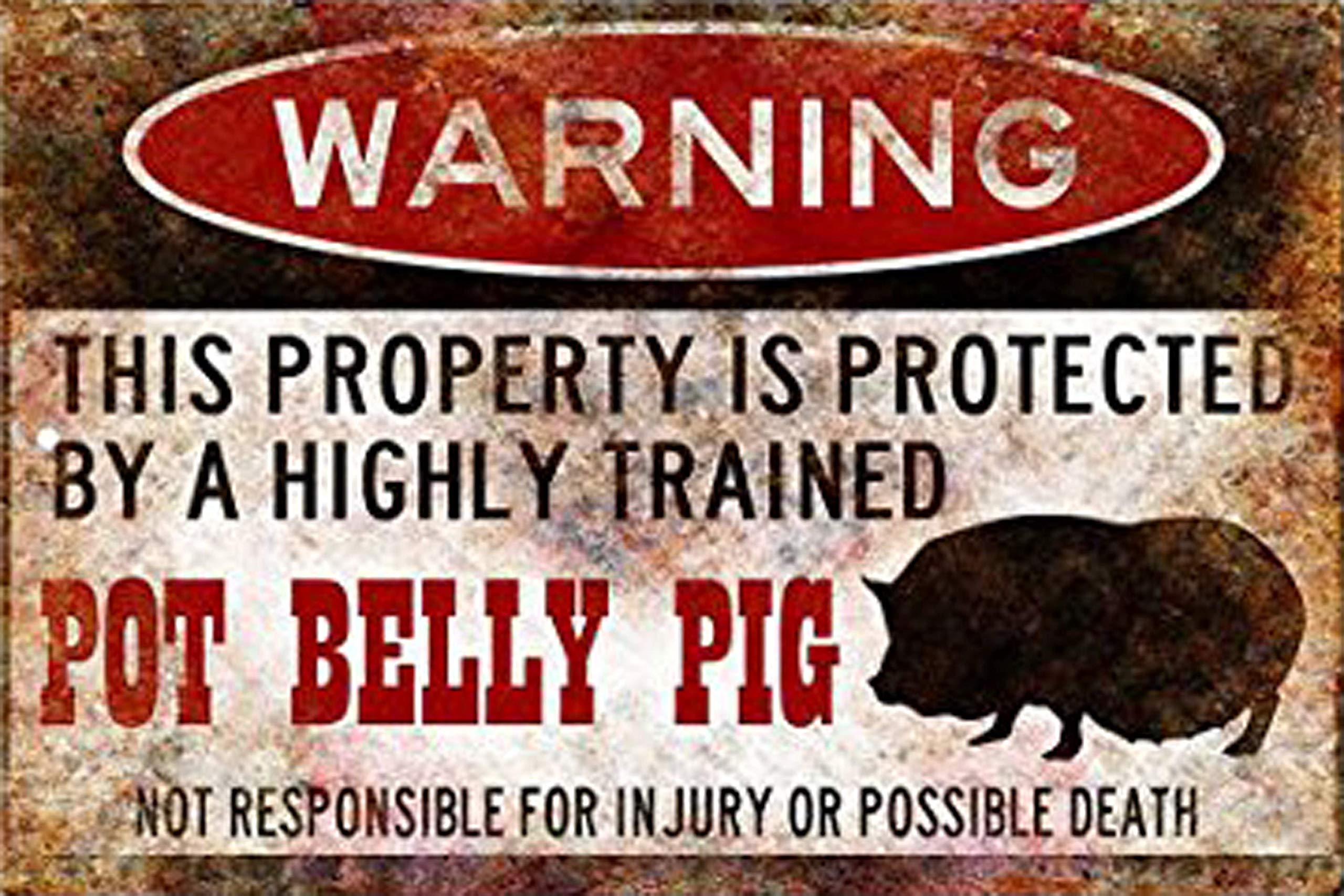 Funny Pot Belly Pig Metal Sign - Pig Warning Sign for Pet Lovers - Unique Gift for Small Pet Owners - Perfect for Farmhouse, Bar, or Man Cave Decor
